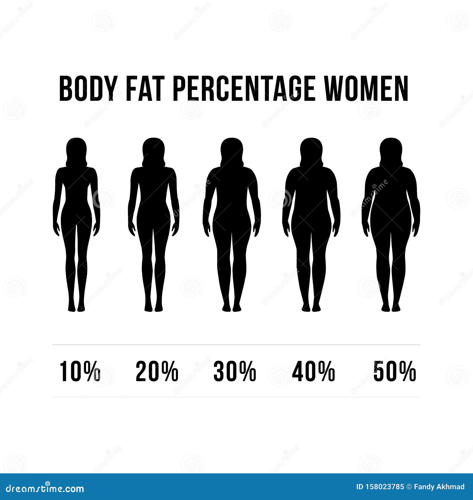 different body fat percentages male