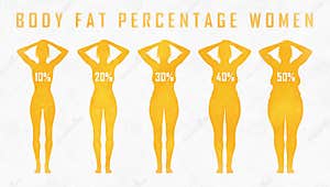 Bodyfat Cartoons Illustrations Vector Stock Images 17 Pictures To 
