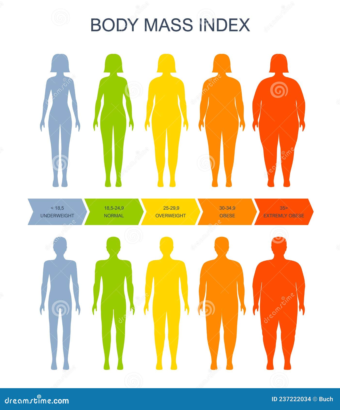 Body Mass Index Chart, BMI of Man and Woman Scale Stock Vector -  Illustration of female, obesity: 237222034