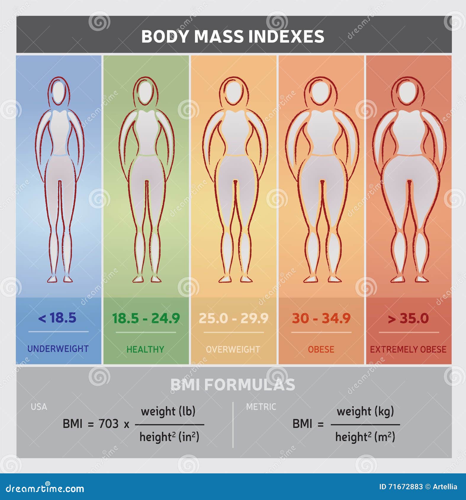 body mass index diagram graphical chart with body silhouettes, five classes and formulas