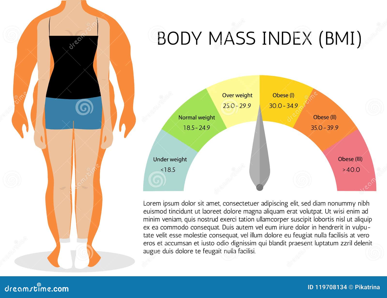 Body Mass Index Illustration Woman Silhouettes Female Body With