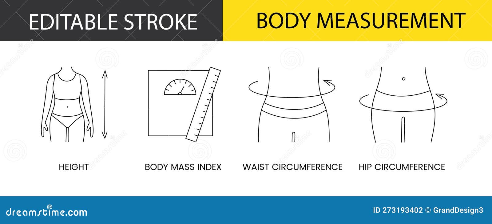  Body Measurement Line Icon Set In Vector, Illustration Of Height And ...