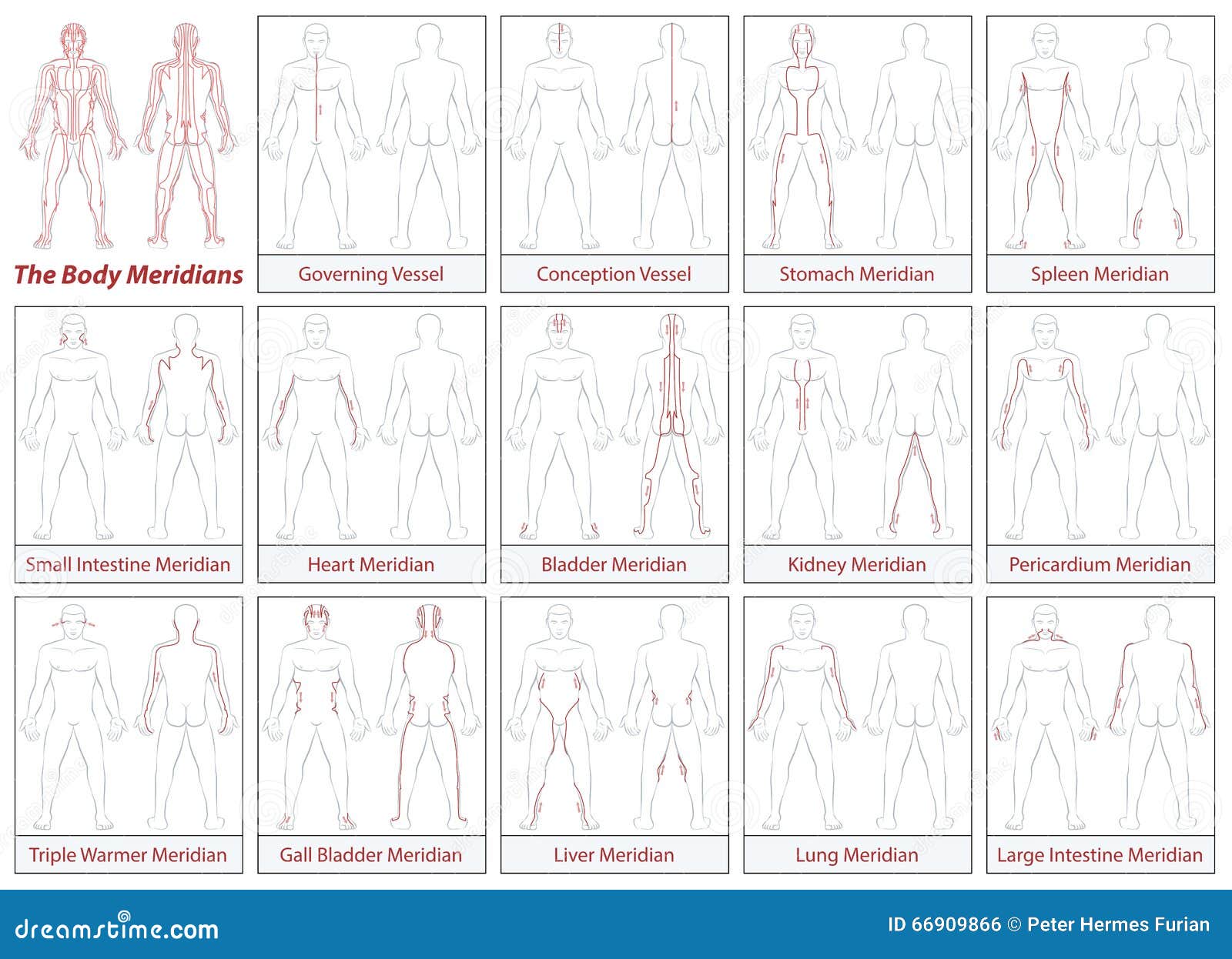 body meridians schematic diagram flow direction