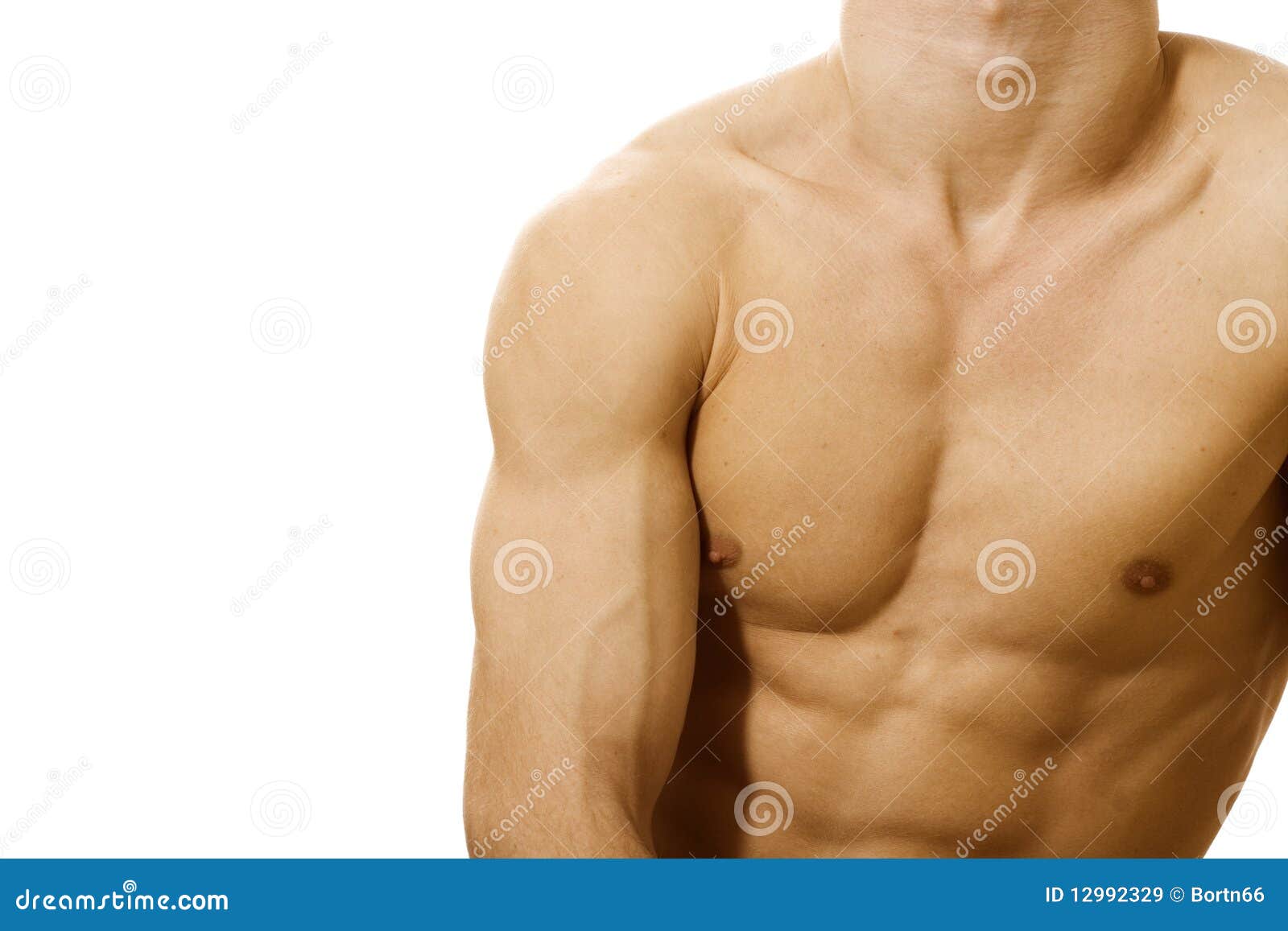 Body part stock image. Image of color, lifestyle, muscle - 12992329