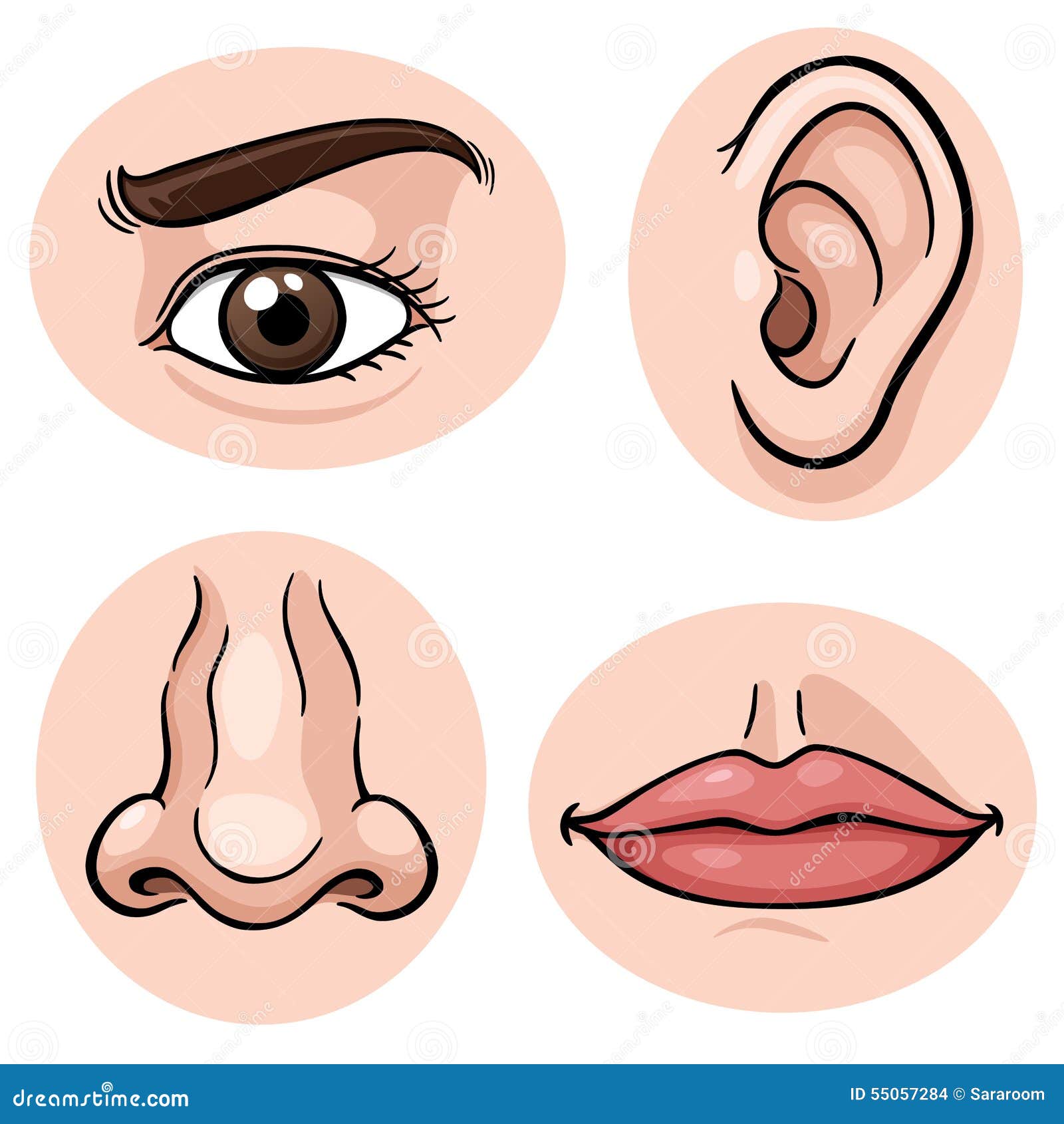 Нос глазами ушей. Части тела глаза для детей. Глаза нос рот уши. Части тела нос для детей