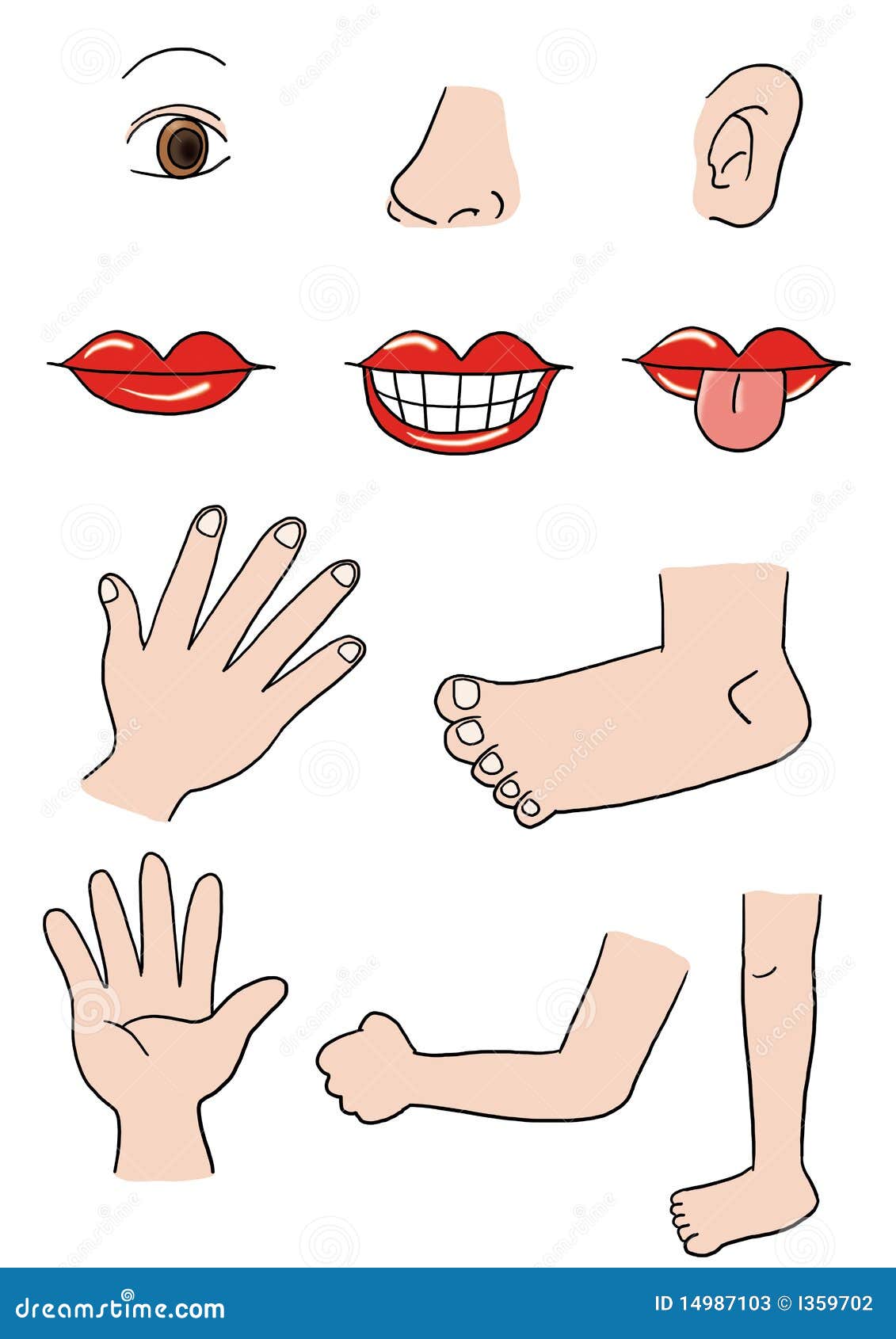 Kids Body Parts Stock Illustrations – 433 Kids Body Parts Stock  Illustrations, Vectors & Clipart - Dreamstime