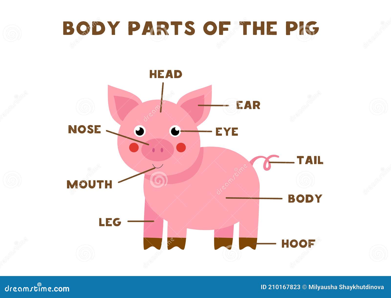 Body Parts of the Pig. Scheme for Children Stock Vector - Illustration of animal, chart: 210167823 Body Parts of the Pig. Scheme for Children Stock Vector - Illustration of animal, chart: 210167823