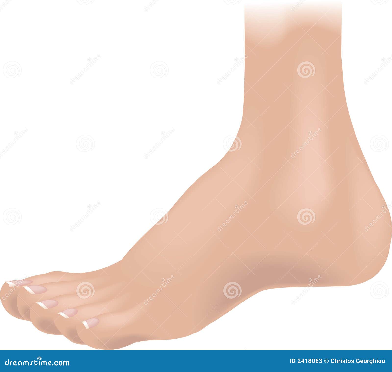 Opaco disco Astronave Body parts foot stock vector. Illustration of foot, person - 2418083