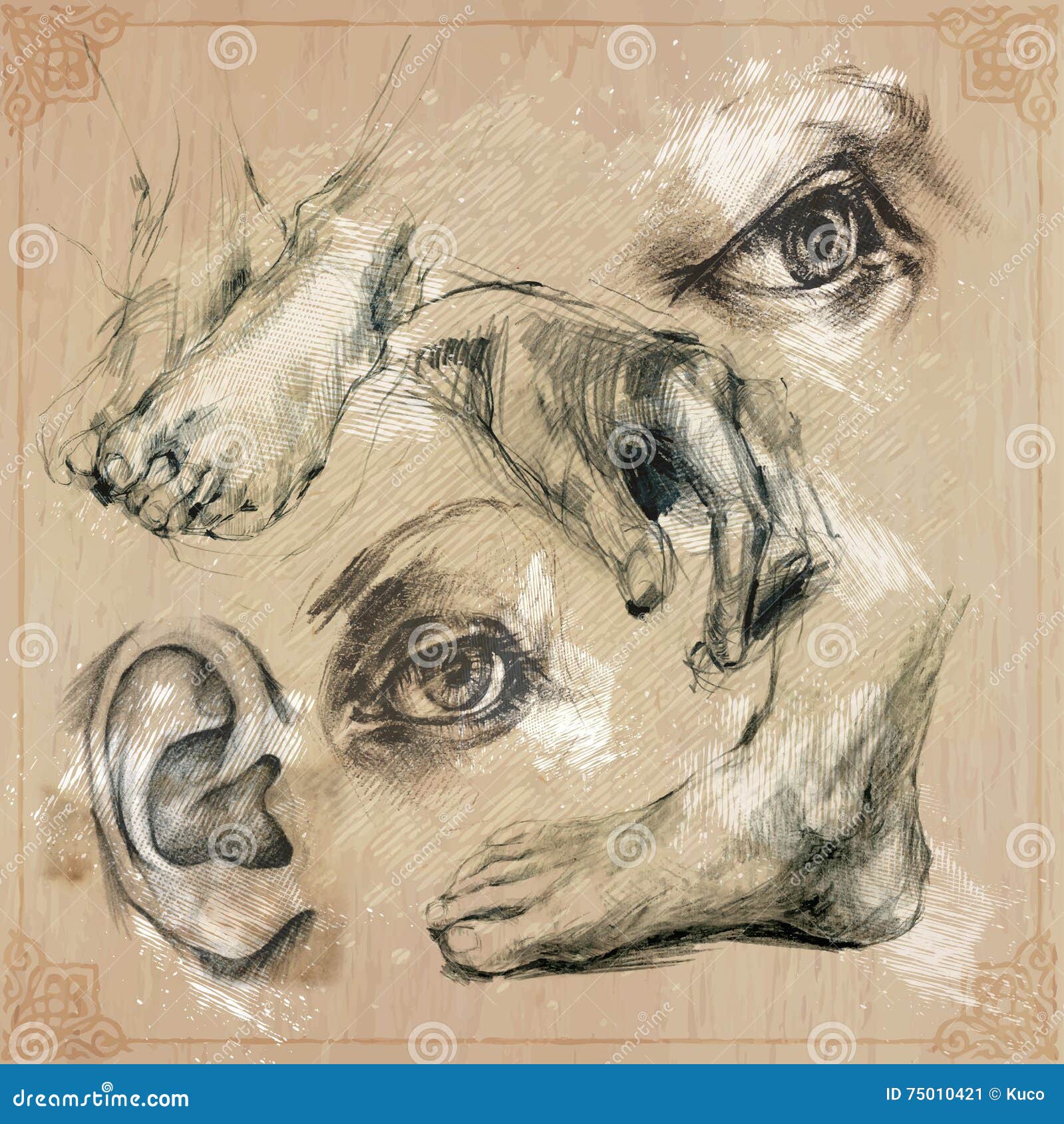 Pencil Drawing Canvas Stock Illustrations – 7,778 Pencil Drawing Canvas  Stock Illustrations, Vectors & Clipart - Dreamstime