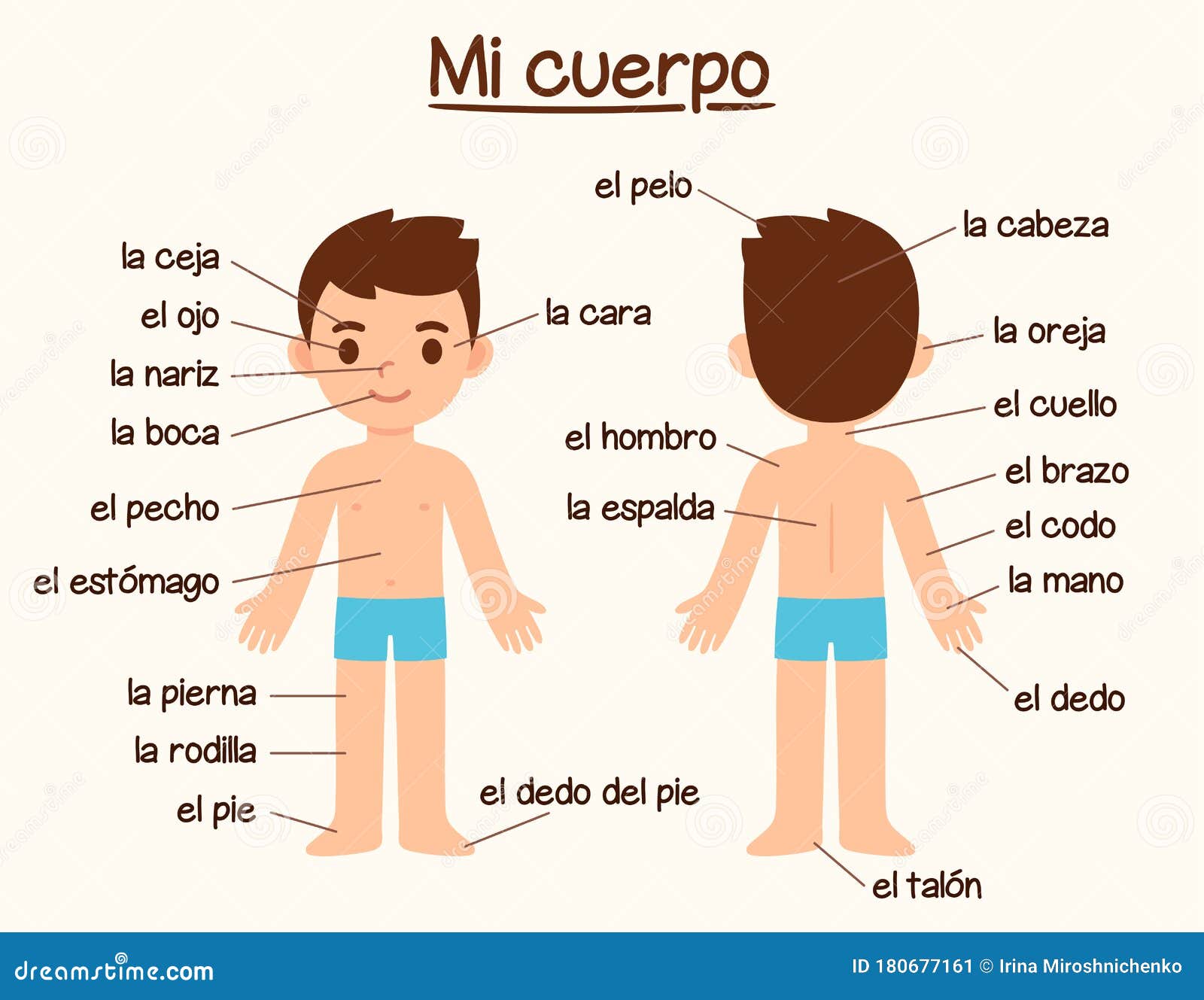 spanish-body-parts-worksheet