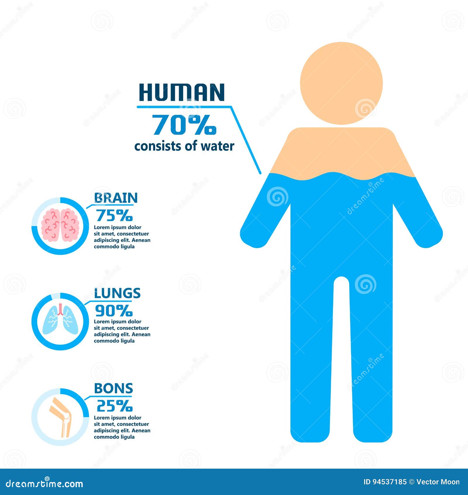 body water drink infographics health people diet lifestyle concept brochure infochart  