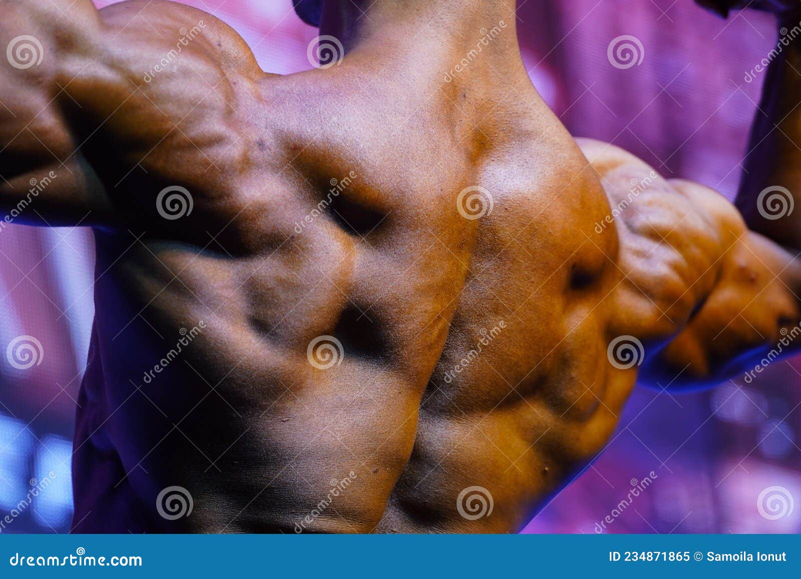 Bodybuilder. Body Part Details. Bodybuilder in Competition, Detail
