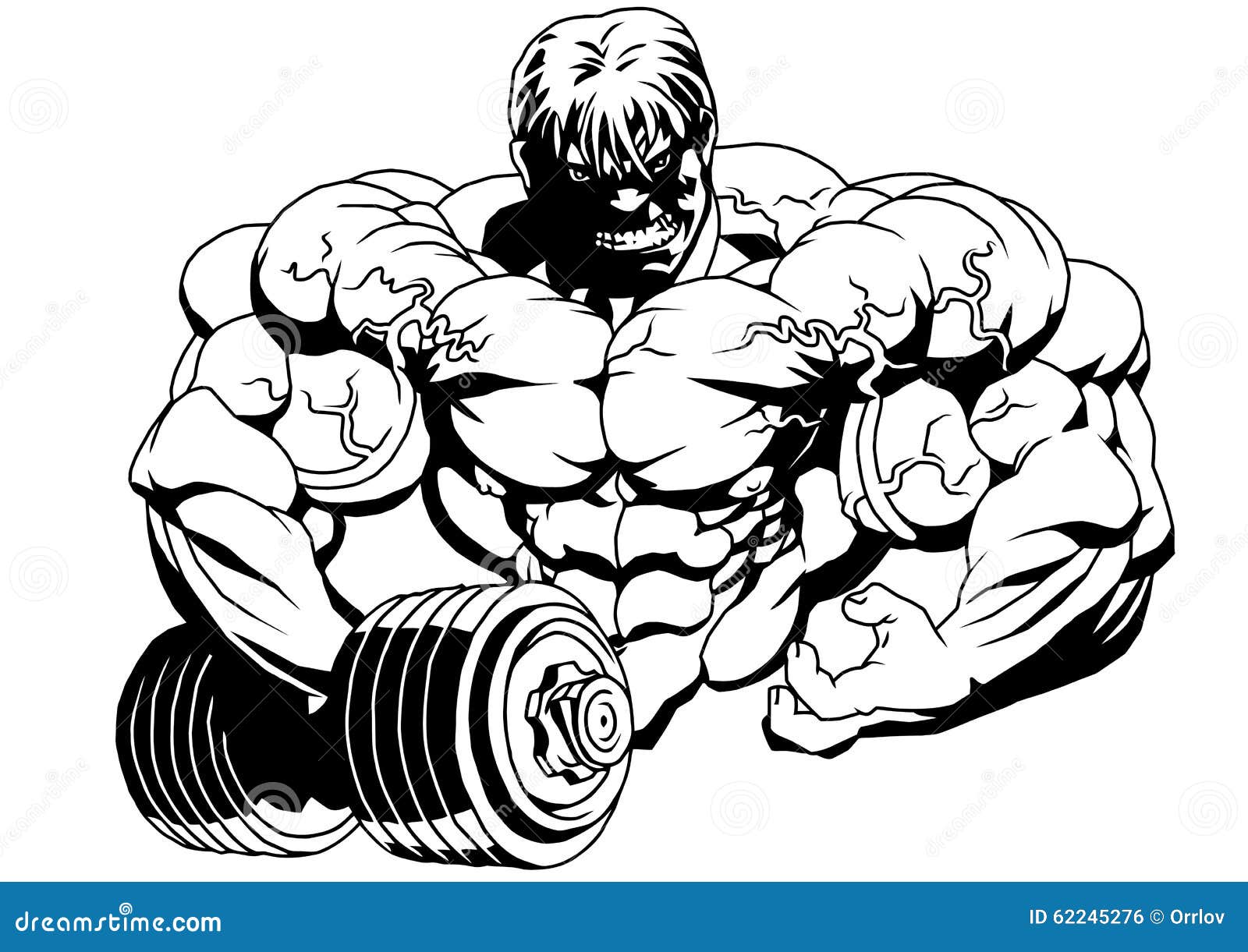 Bodybuilder With Dumbbells Stock Vector Illustration Of Drawing