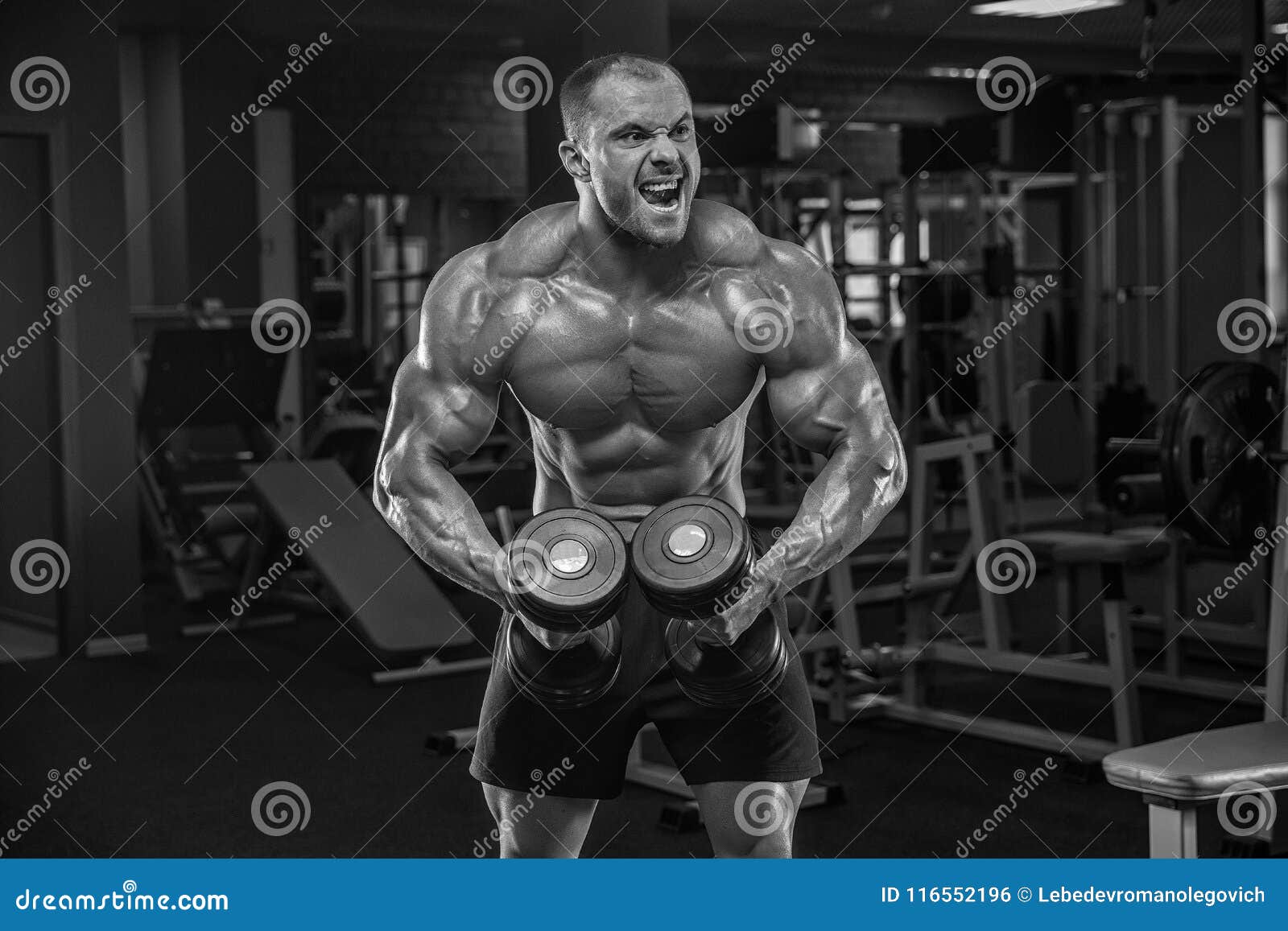 Closeup Portrait of Professional Bodybuilder Workout with Barbel Stock ...