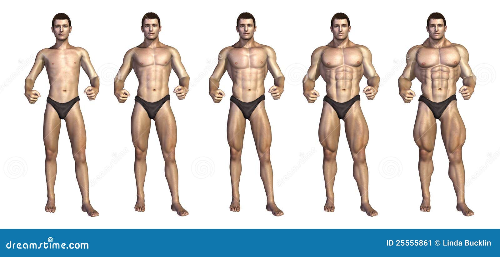 Bodybuilding Exercises Chart Free Download
