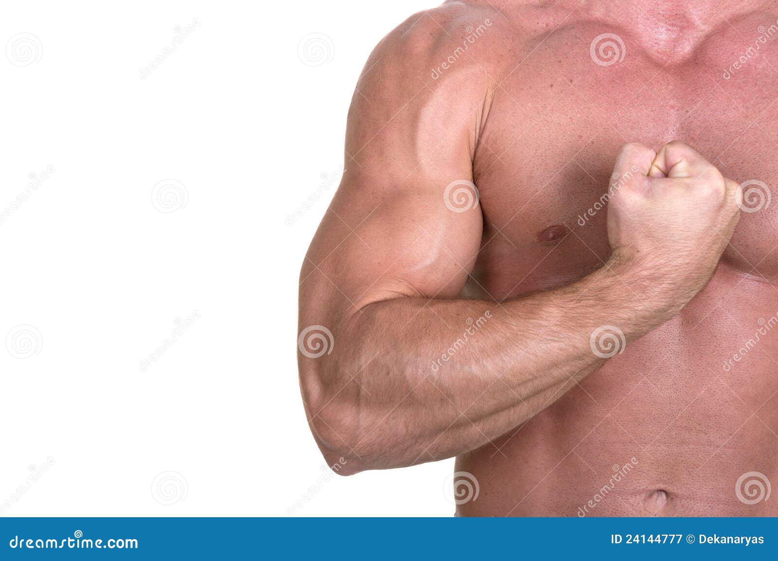 Bodybuilder Torso With Arms Up Ripped Abs And Pecs With Nipple