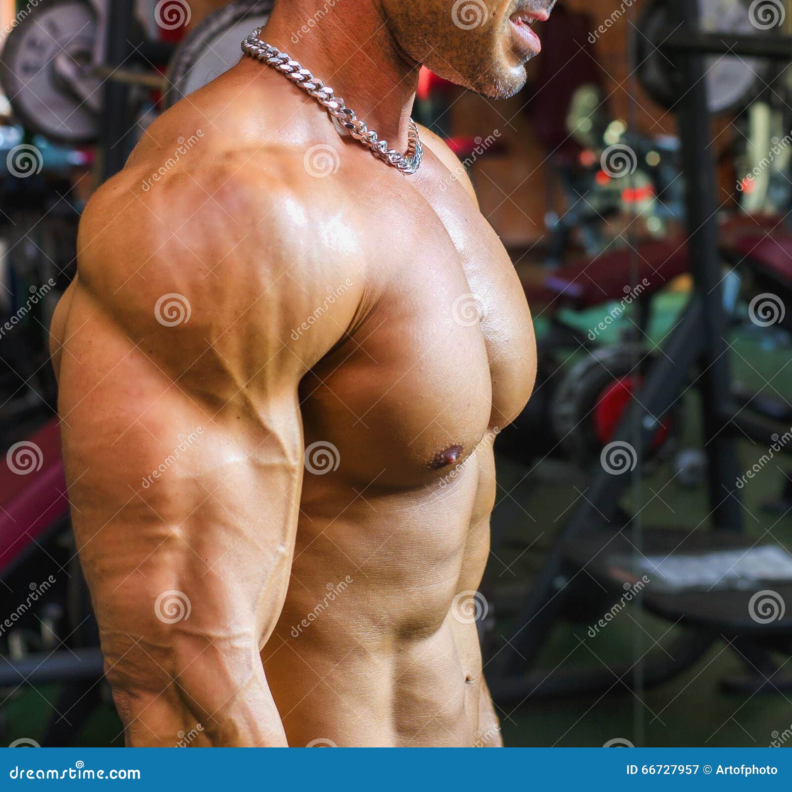 Bodybuilder Working Out At Gym Side View Of Muscular Chest Pecs Arms Stock Image Image Of