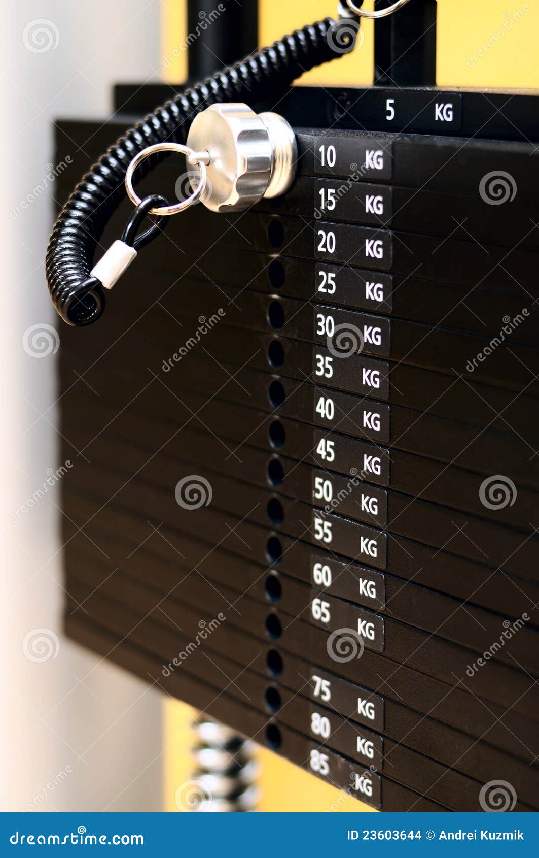 Bodybuilding equipment stock photo. Image of fitness - 23603644