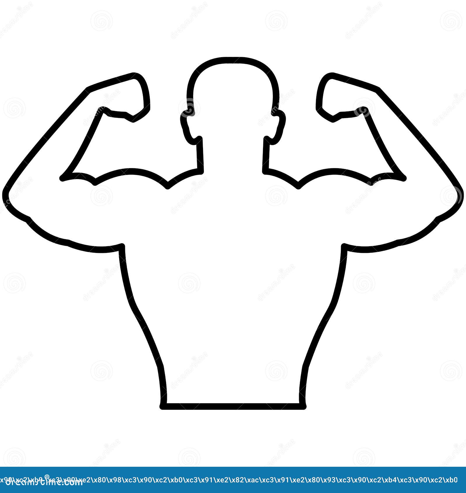 contour definition in muscle contour definition in muscle