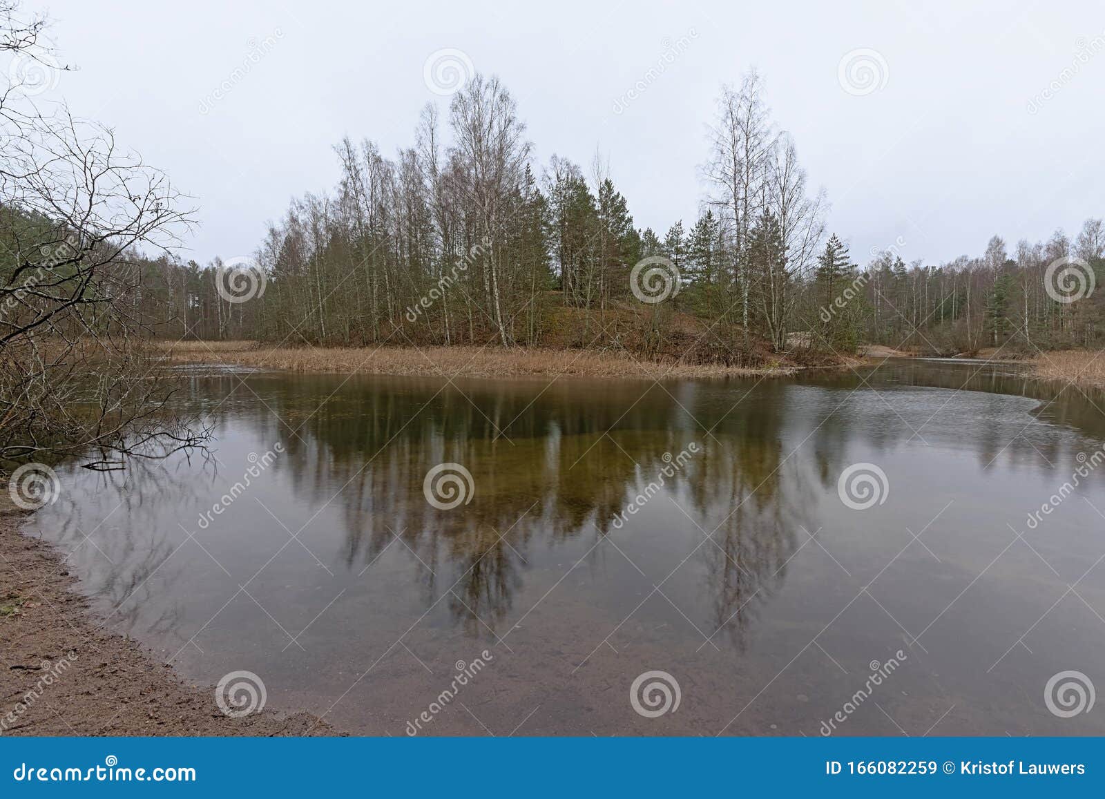 bog with island with trees reflecting in the water in a forest in estonia