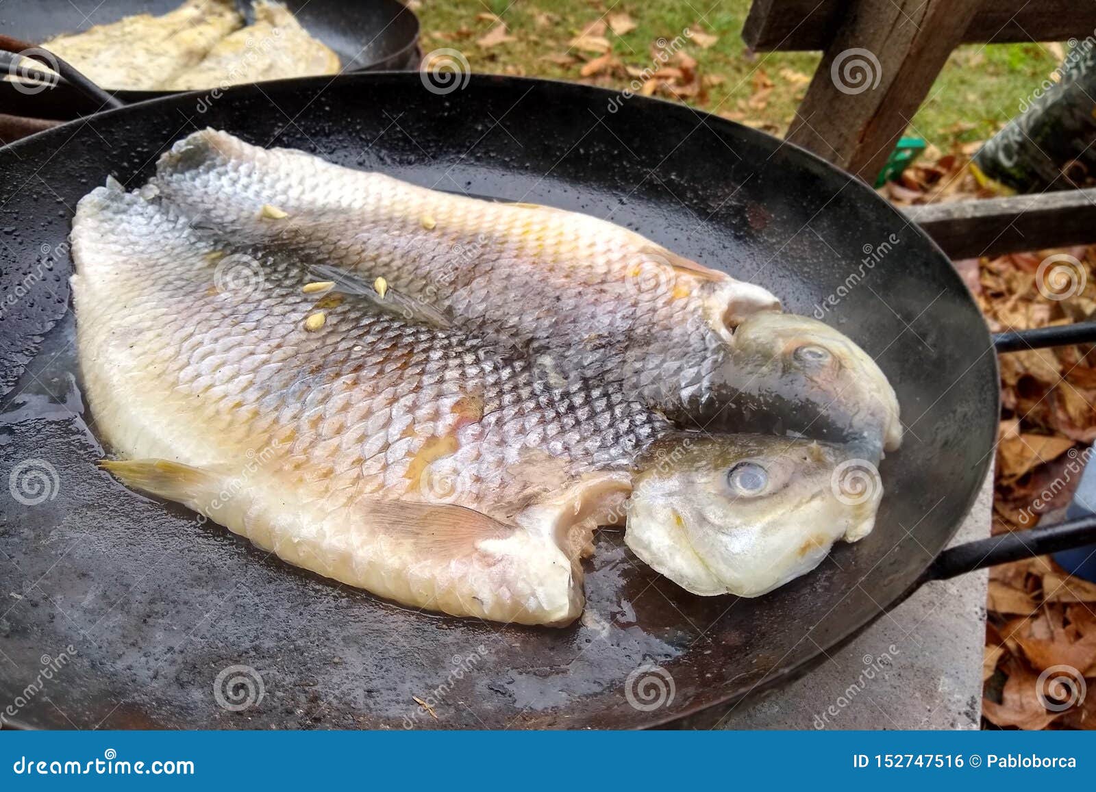 Boga fish steak cooked stock photo. Image of fish, food - 152747516