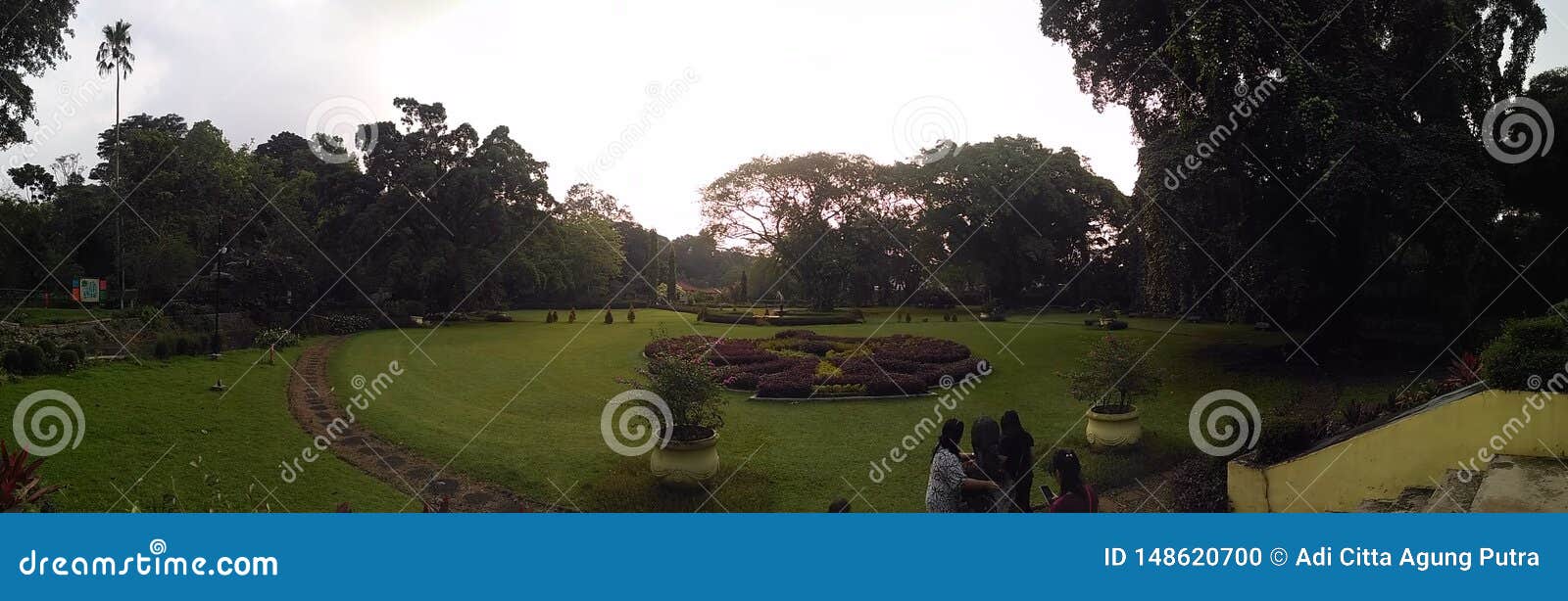 42 182 Garden Indonesia Photos Free Royalty Free Stock Photos From Dreamstime