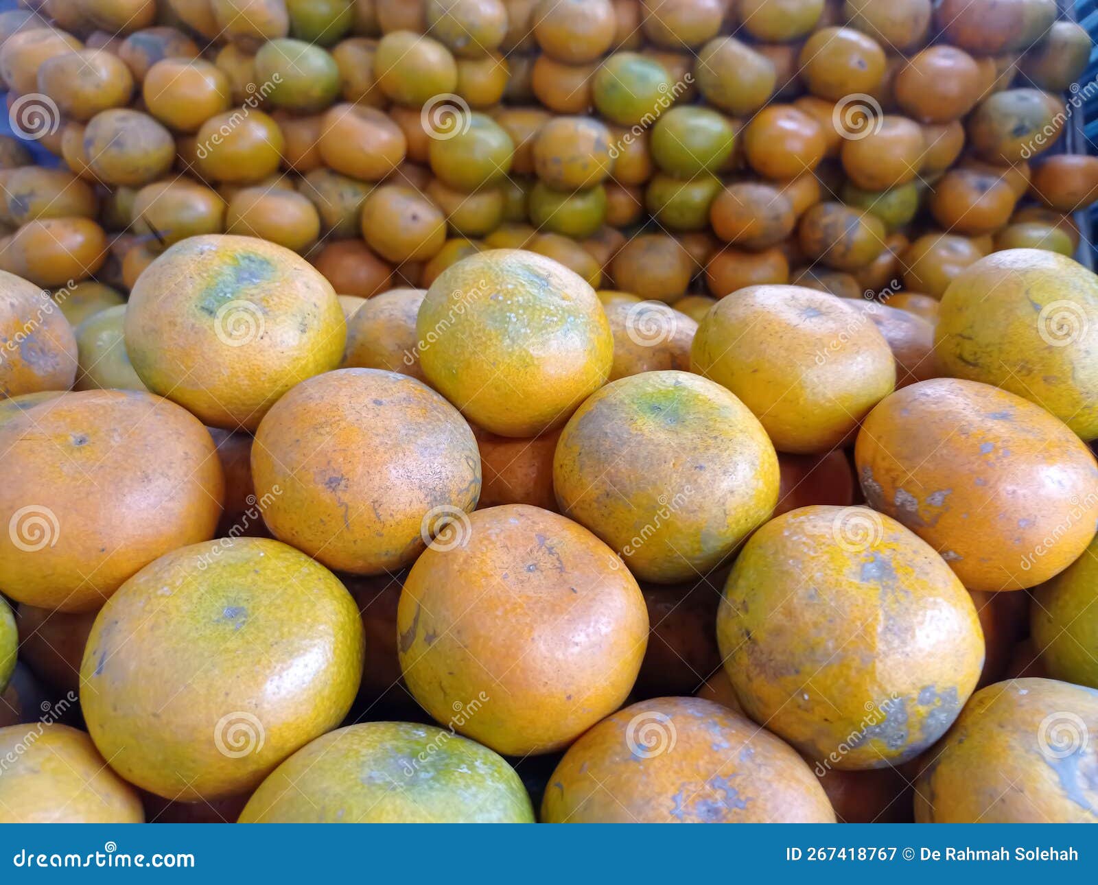 Fresh Citrus Fruits from Traders in the Bogor Area. Stock Image Image