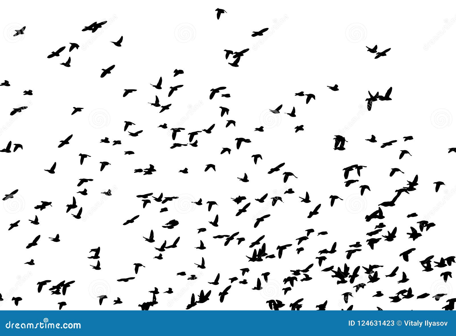 bohemian waxwing in flight.  silhouette a flock of birds