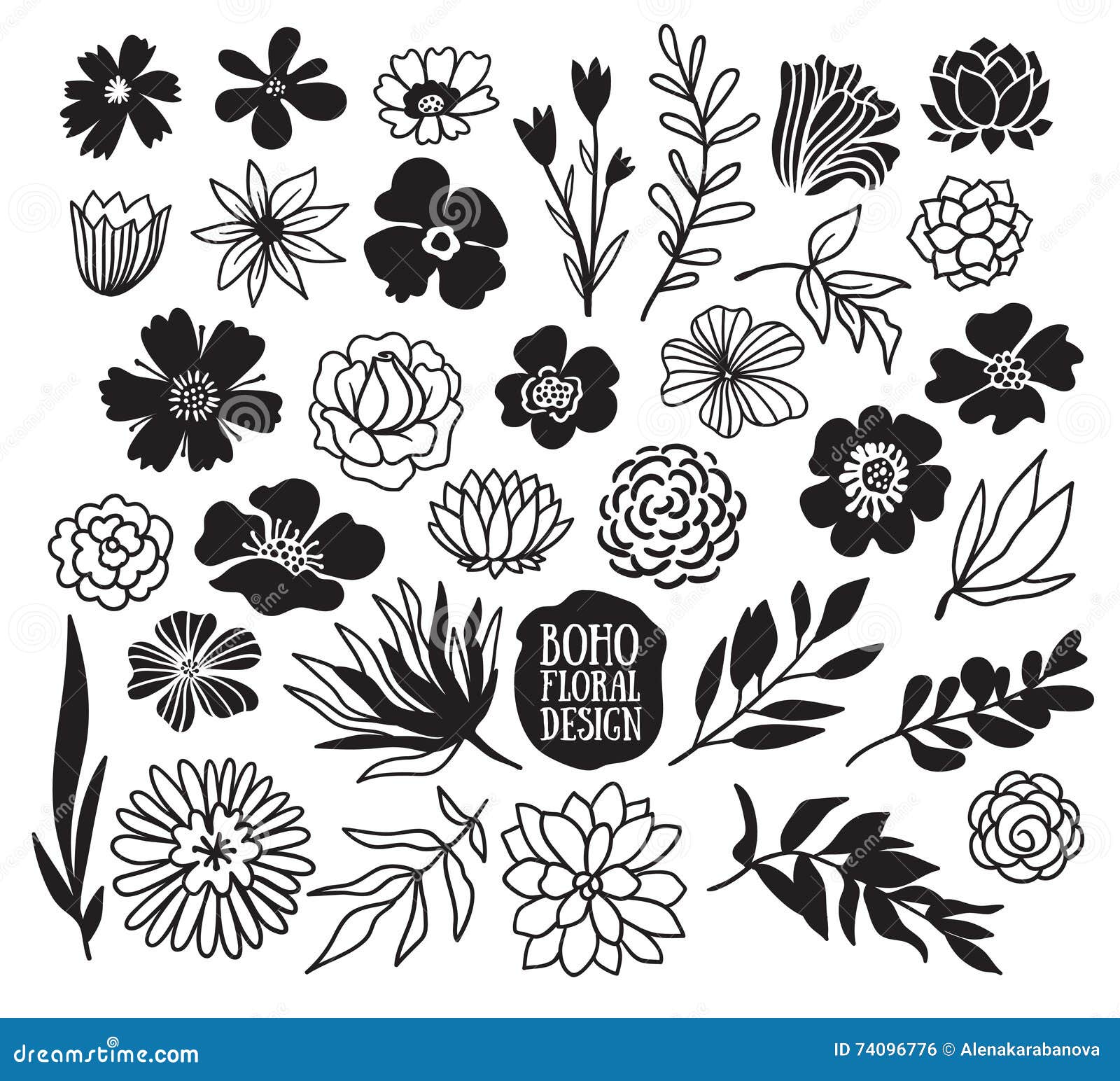 boho black decorative plants and flowers collection.