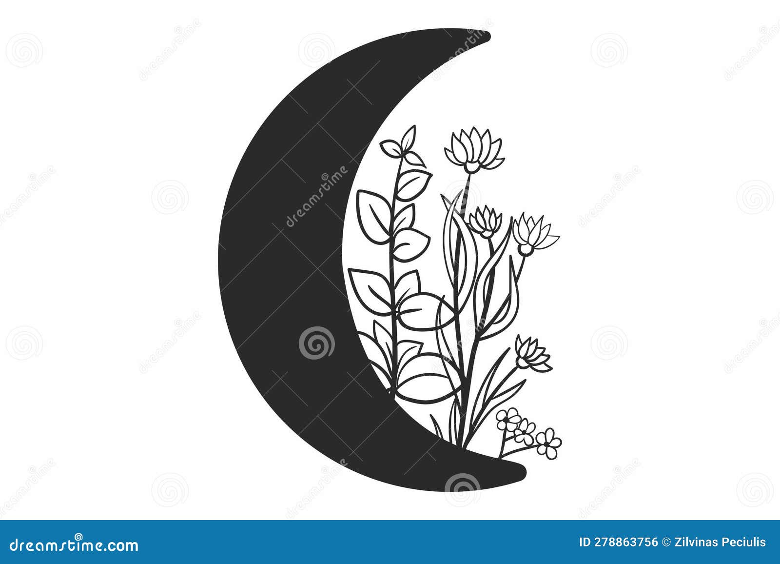 Black Moon Svg Crescent Moon Png Moon Phase Vector Witchy 