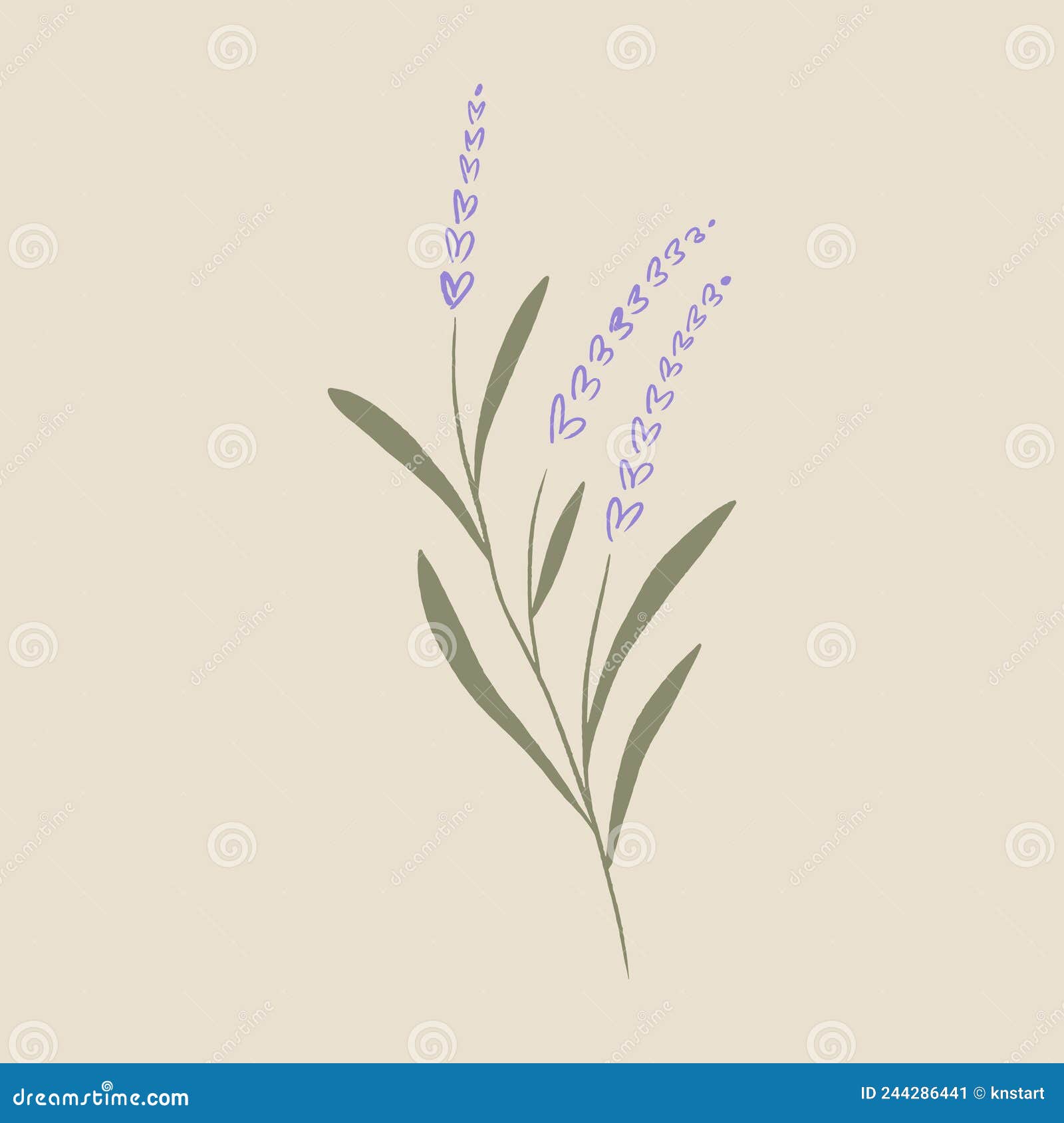 boho minimalistic tiny lavender branch logo or label  