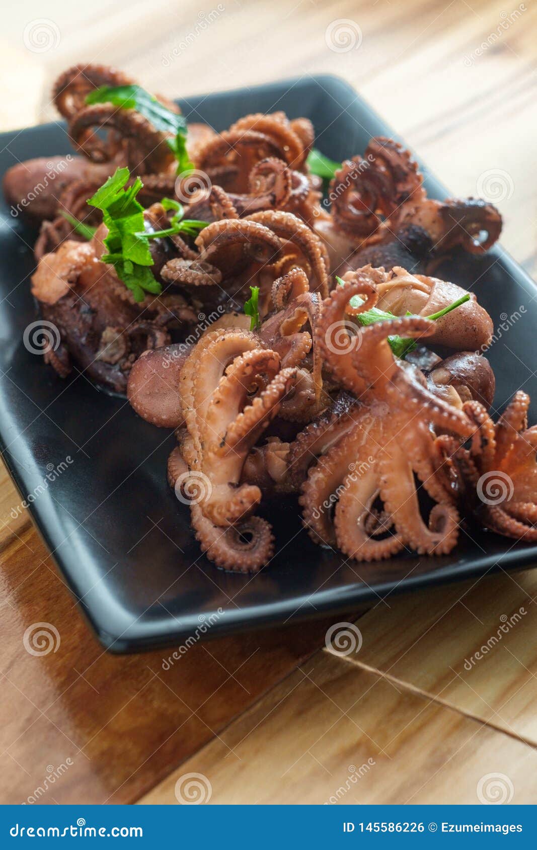 baby octopus baby octopus