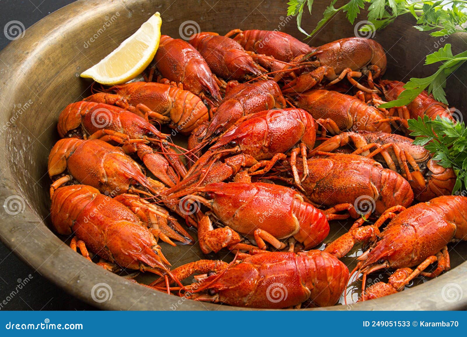 Boiled Cooked Crayfish Crawfish Ready To Eat in Cooper Basin Stock