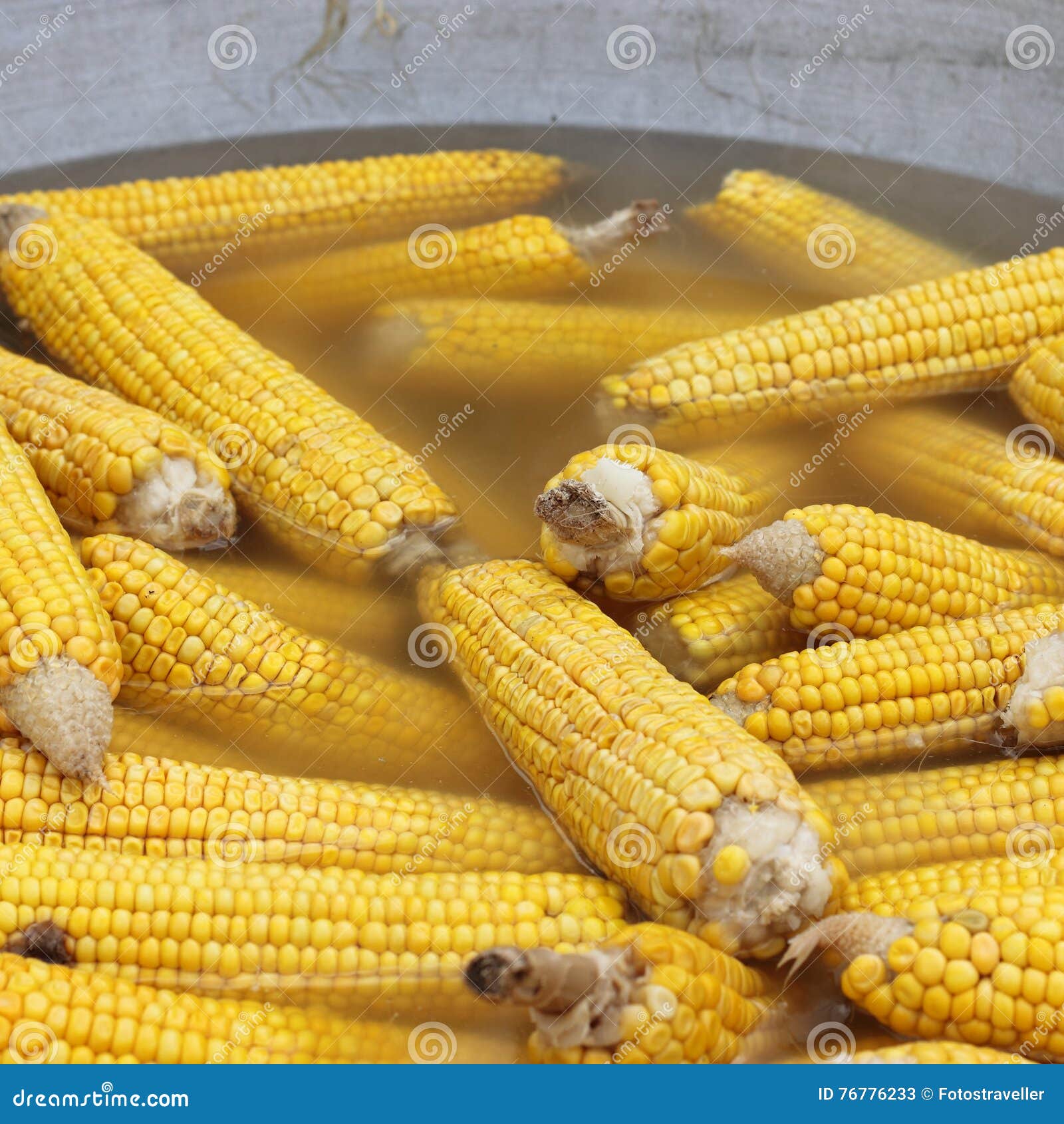 Boiled Corn in Boiling Water Stock Image Image of harvest, water