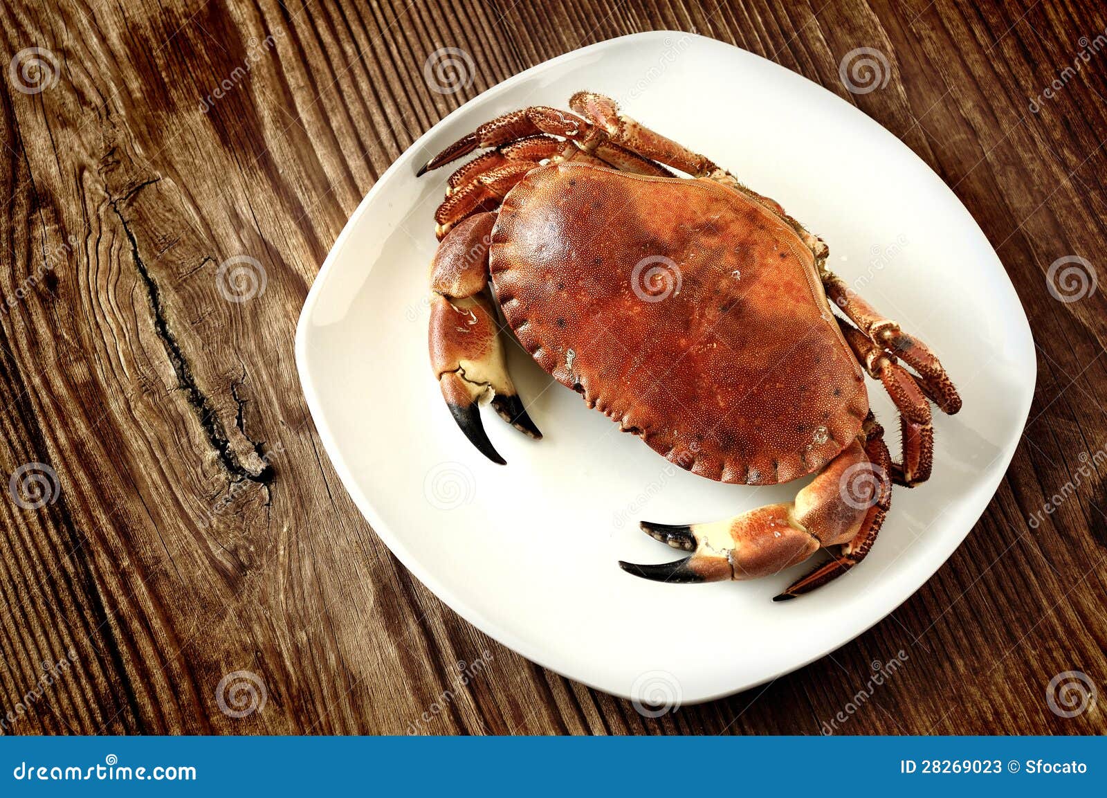 Boiled Crab Stock Image Image Of Boiled Retro Closeup 28269023   Boiled Crab 28269023 