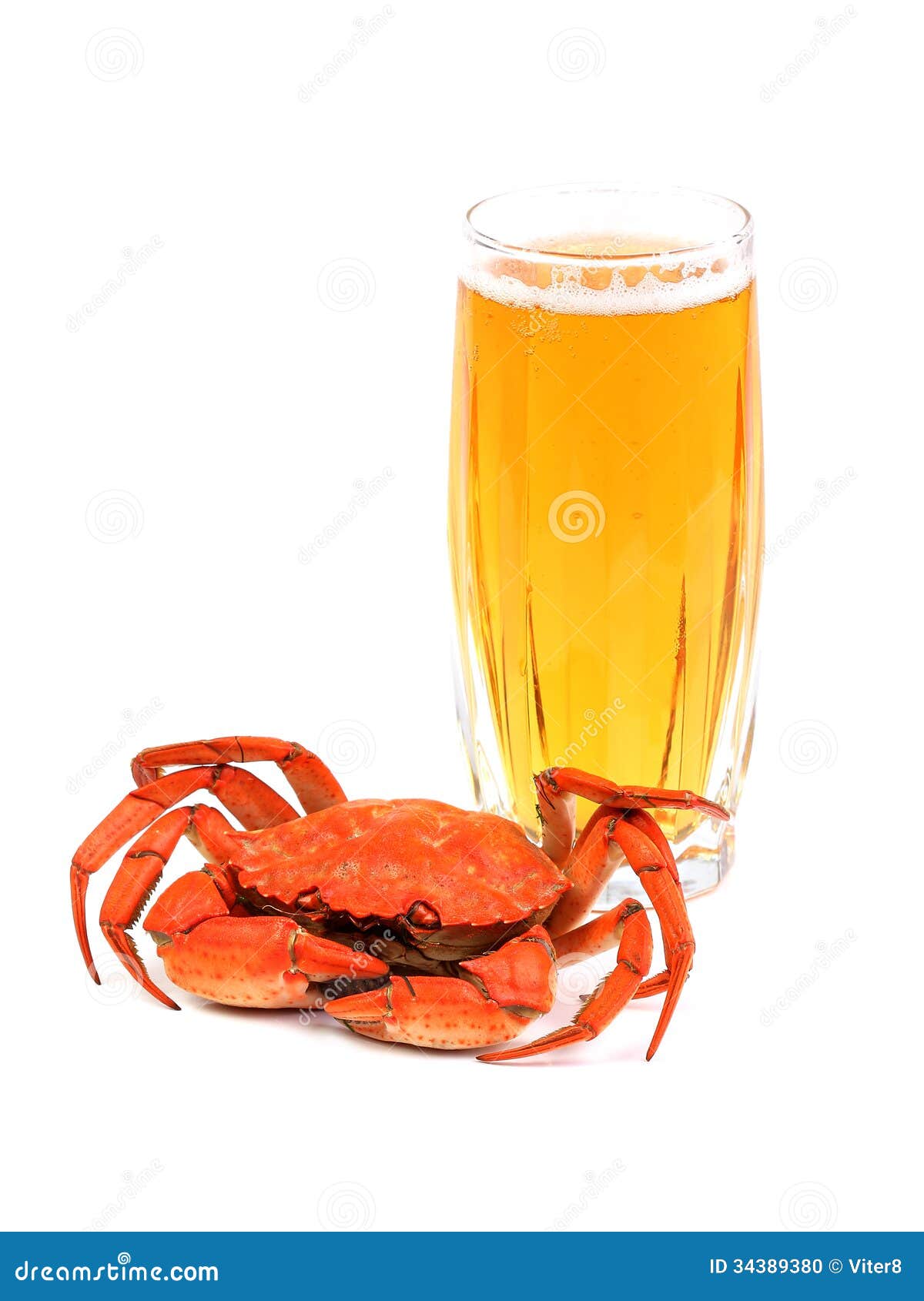 Boiled Crab and Glass of Beer on White Stock Photo Image of prepared