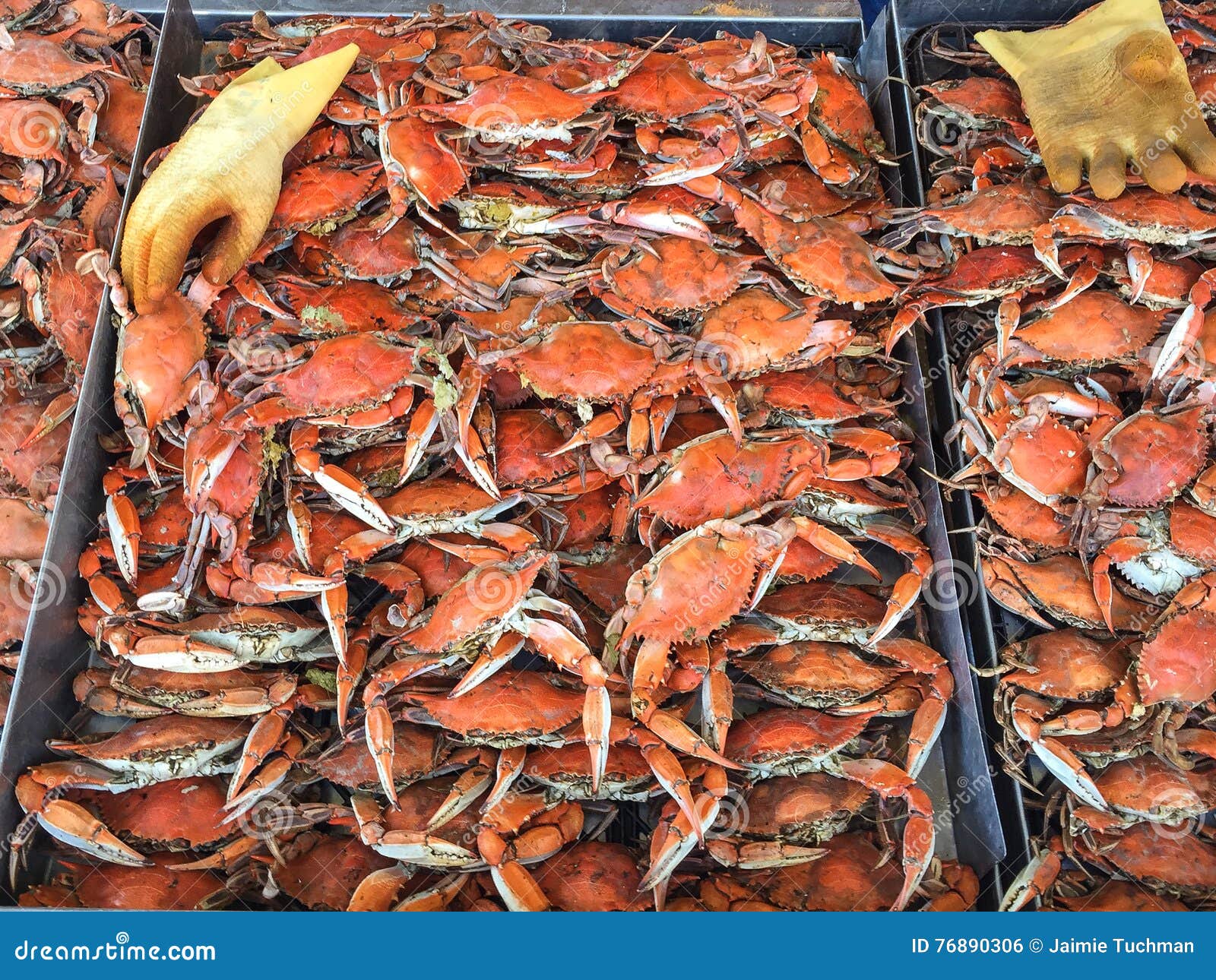 Boiled crabs and gloves stock photo. Image of claws, crustaceans 76890306