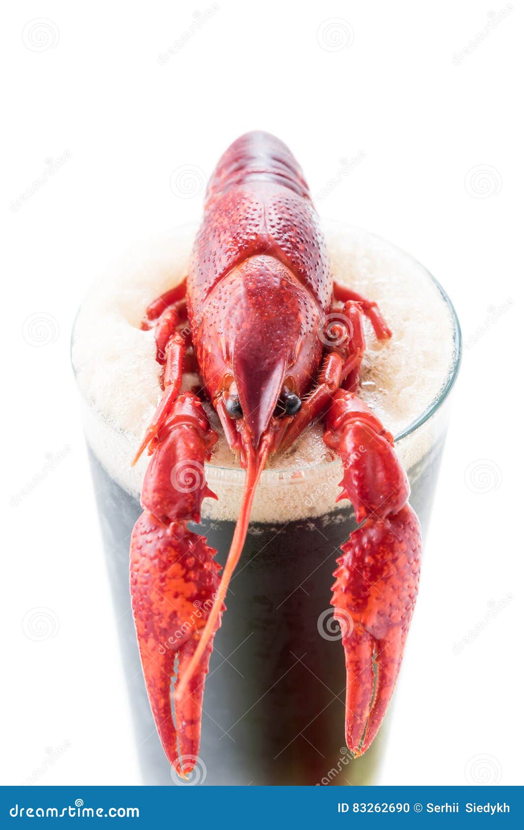 Boiled crayfish with beer stock photo. Image of fresh 83262690
