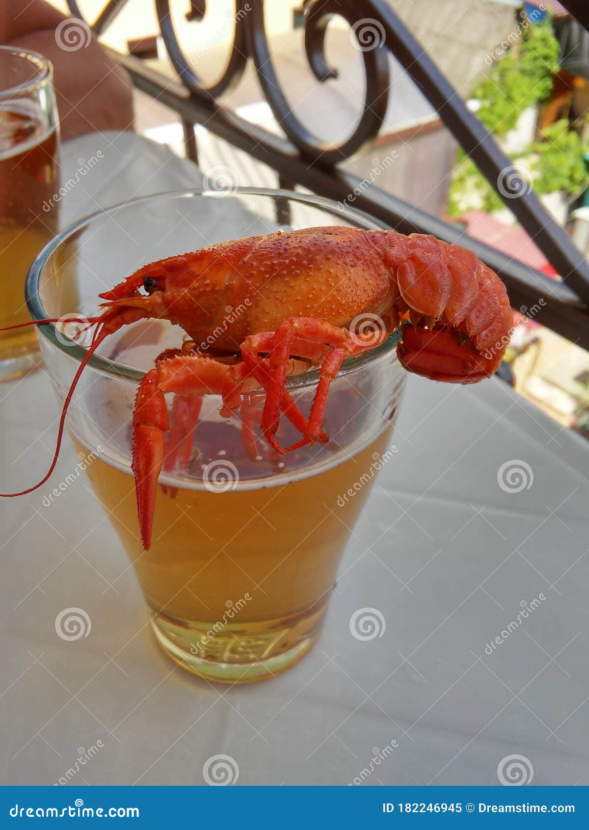 Boiled crayfish for beer stock image. Image of fresh 182246945