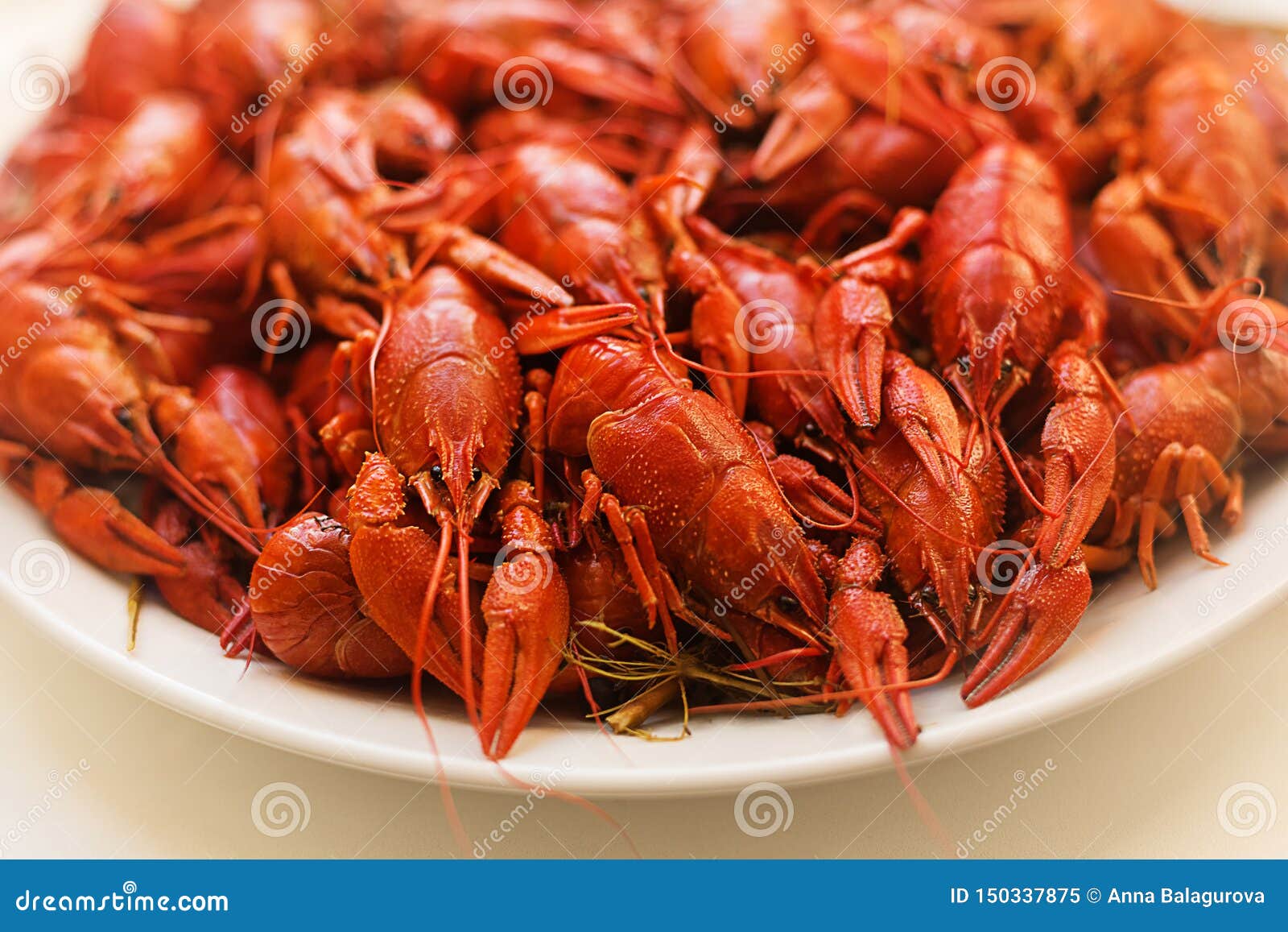 Кипящие раки. Boiled Crayfish. Crayfish on Plate.