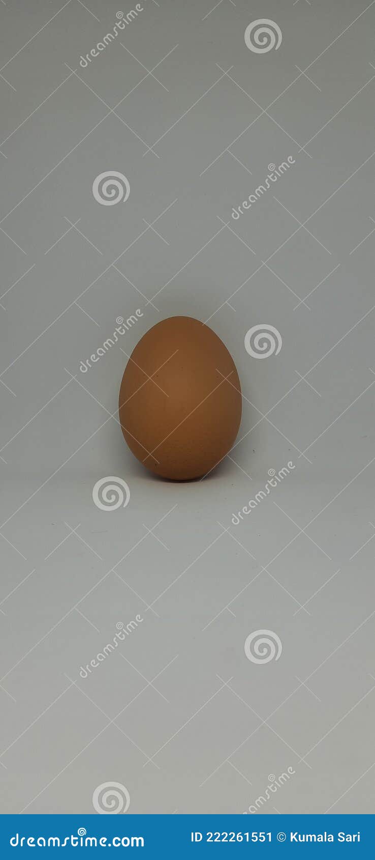 A Boiled Egg is Good To Eat before Bed Stock Image Image of design