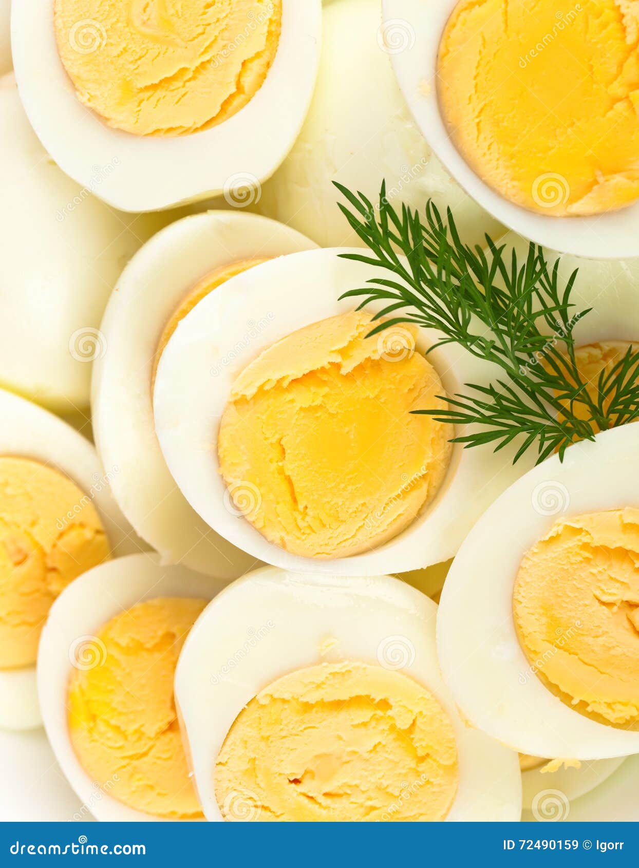 Boiled eggs with dill stock image. Image of yellow, cuisine 72490159