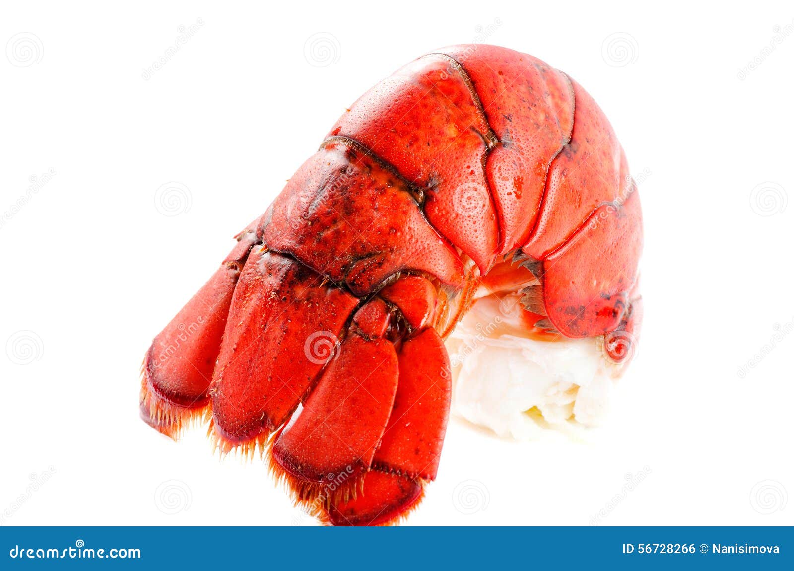 Boiled lobster tail stock photo. Image of eating, cooked 56728266