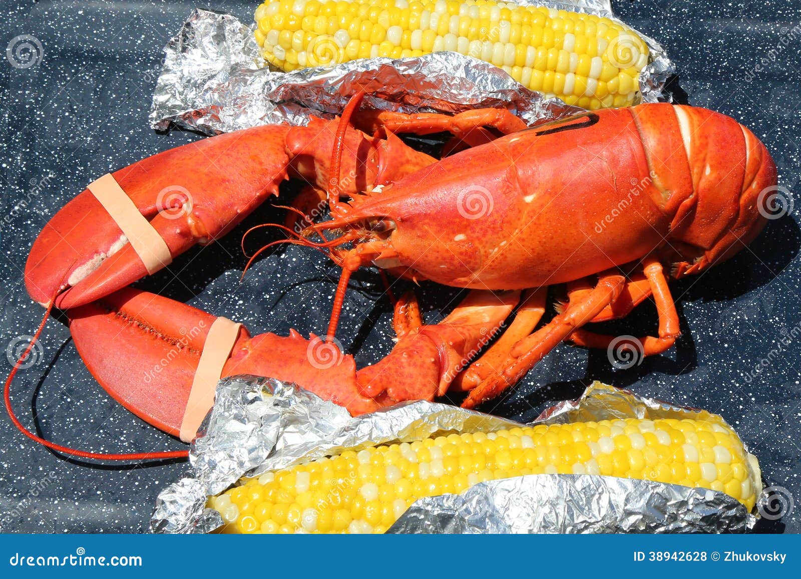 Boiled Maine Lobster with Corn Stock Photo Image of attraction