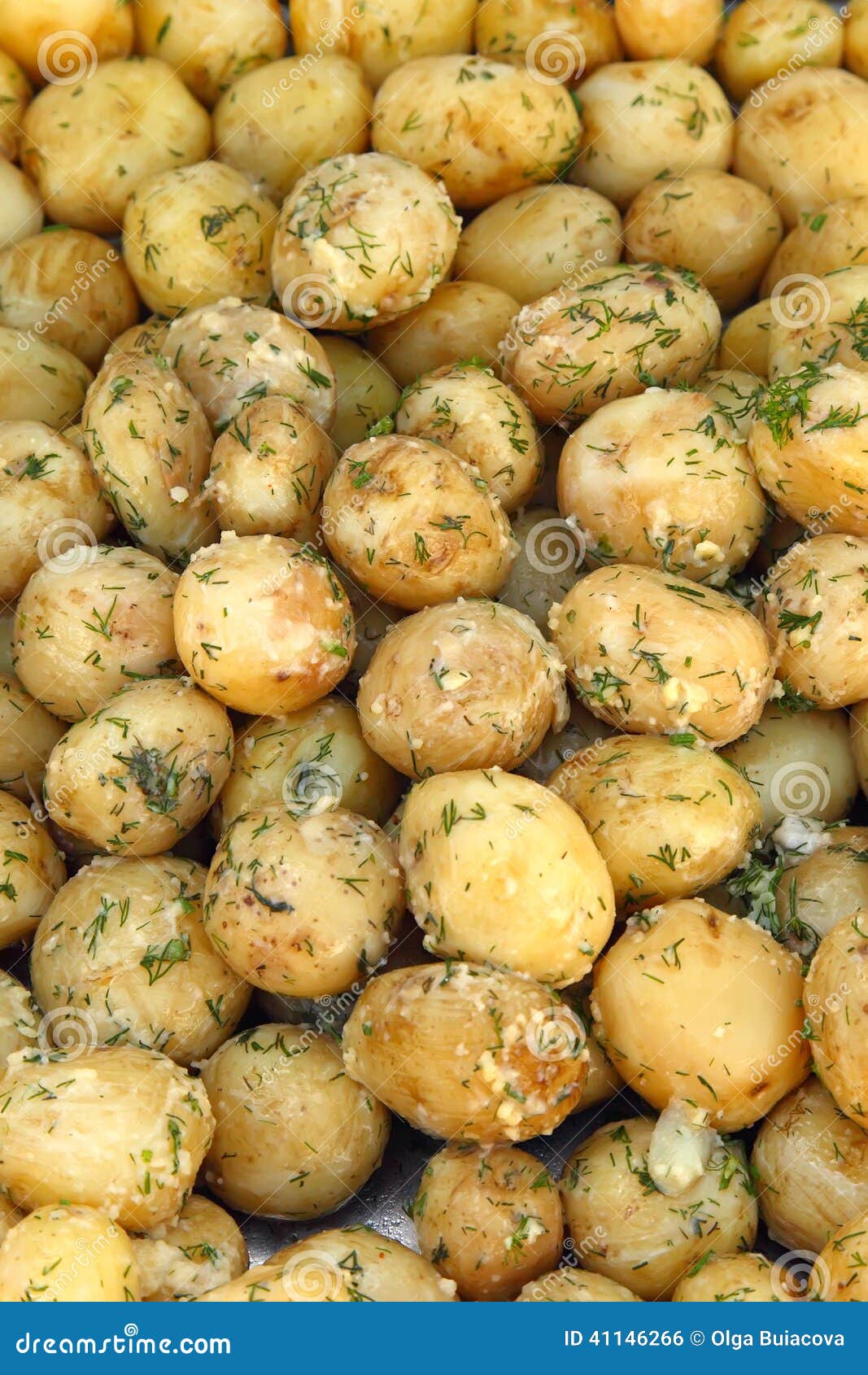Boiled Potatoes with Butter and Garnished with Dill Stock Photo Image