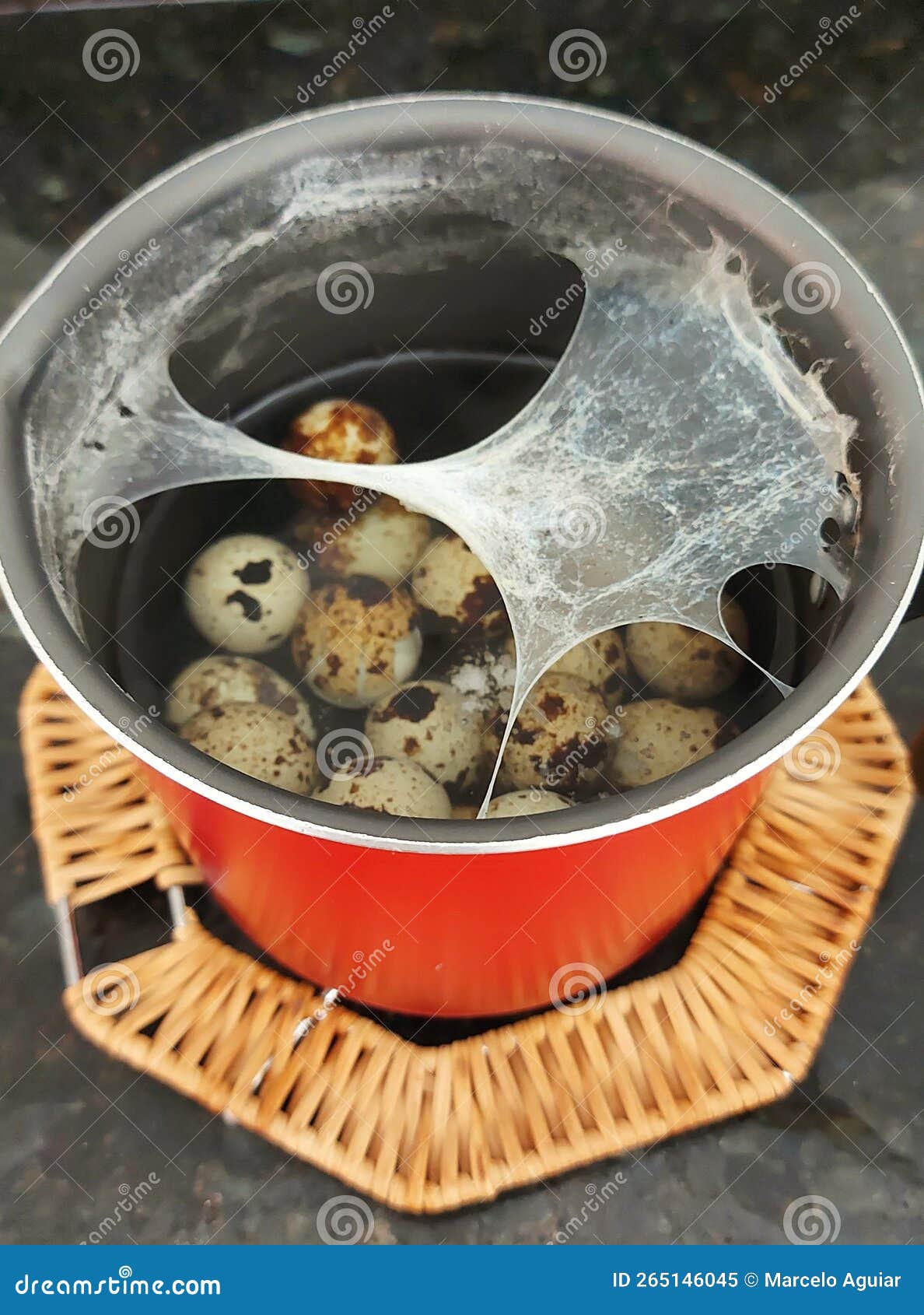 Boiled Quail Egg in the Pan Stock Image Image of breakfast, food
