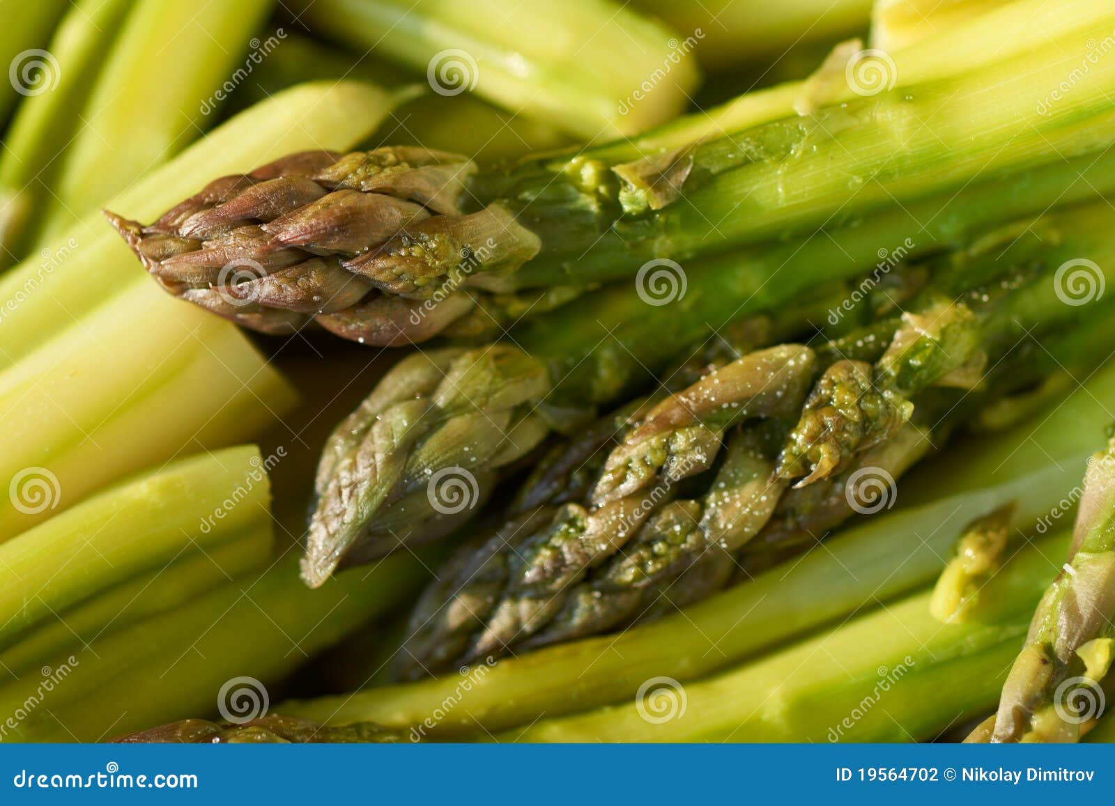 Boiled and Salted Green Asparagus Stock Photo Image of food, sprout