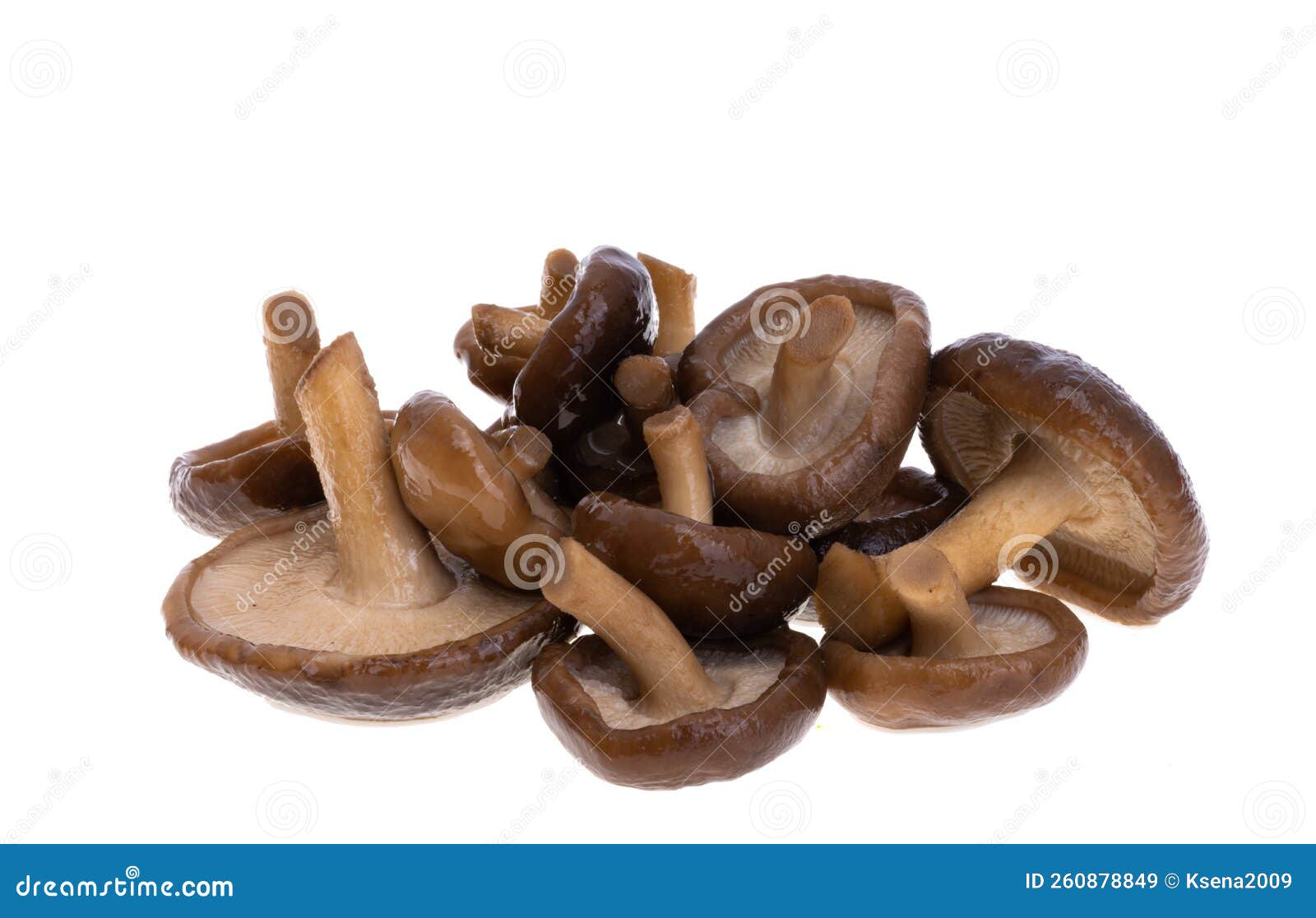 Boiled Shiitake Mushrooms Isolated Stock Image Image of nutrition, cuisine 260878849