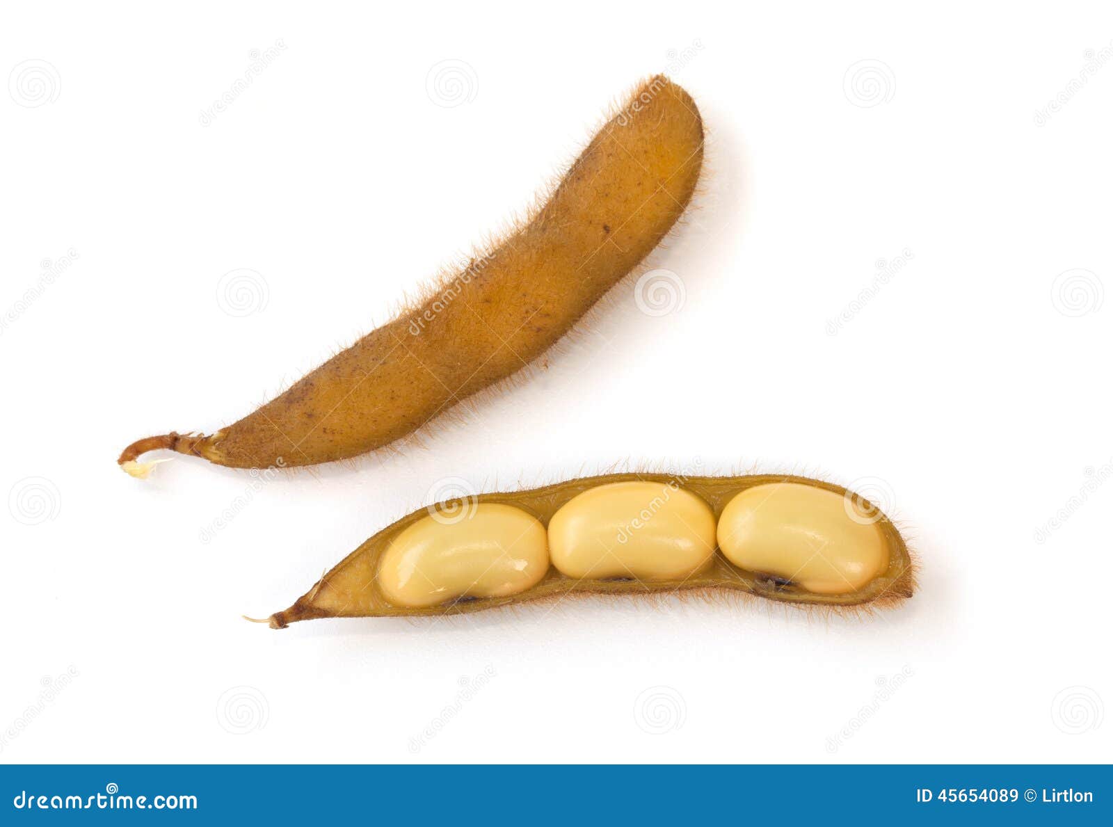 Boiled soybean isolated stock image. Image of macro, vegetable 45654089