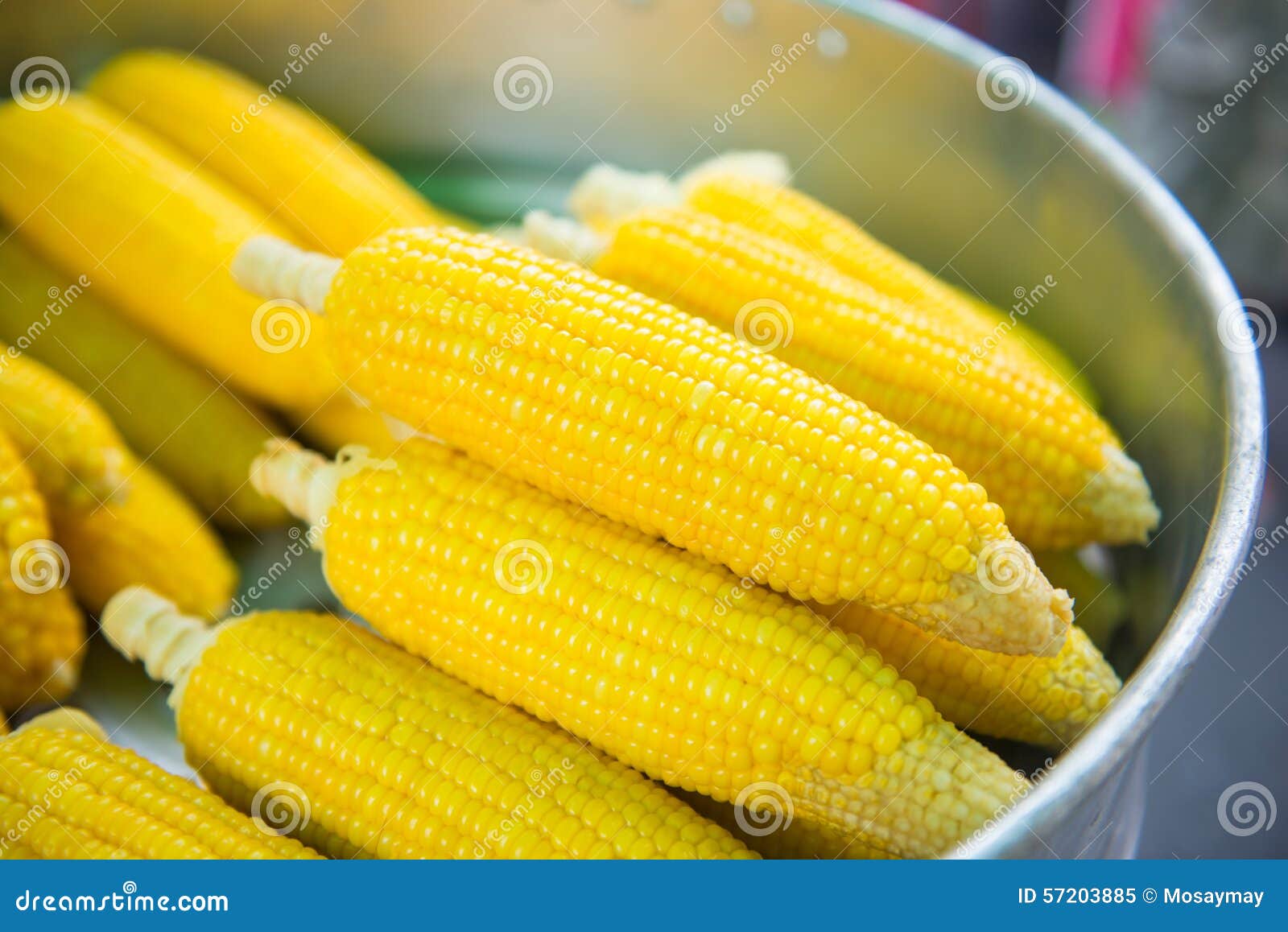 Boiled Sweet Corn for Sell in the Market Stock Image Image of food